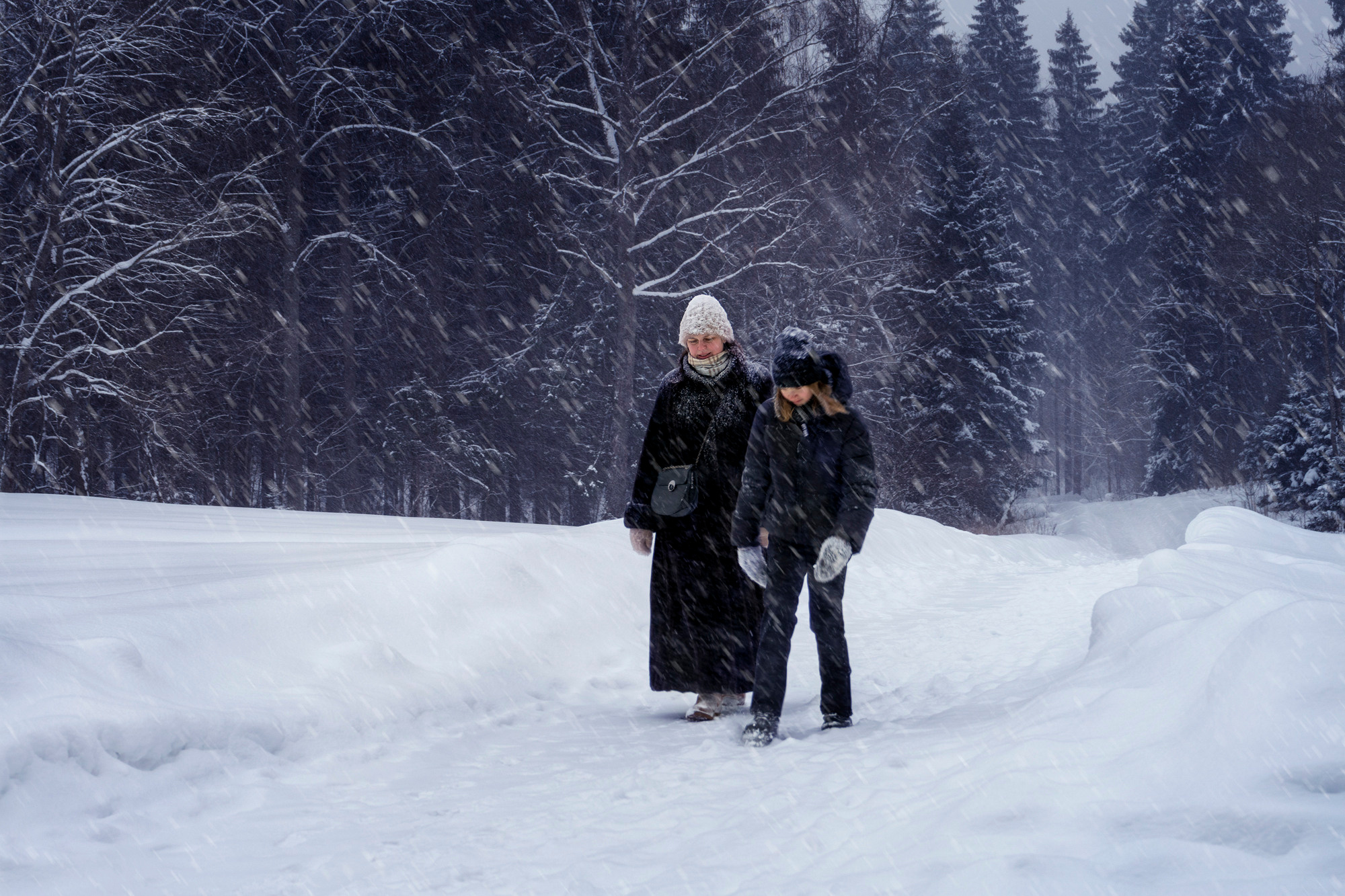 Зима в Шахматова. Семейный и детский фотограф