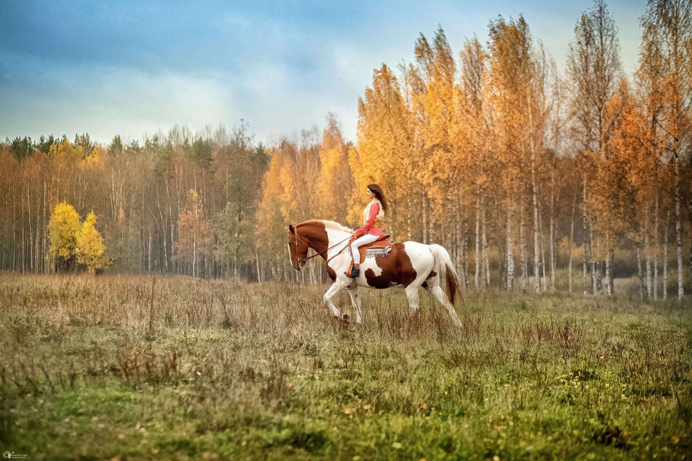 Татьяна, Агата и Амиго. Фотограф женский и мужской портрет Санкт-Петербург