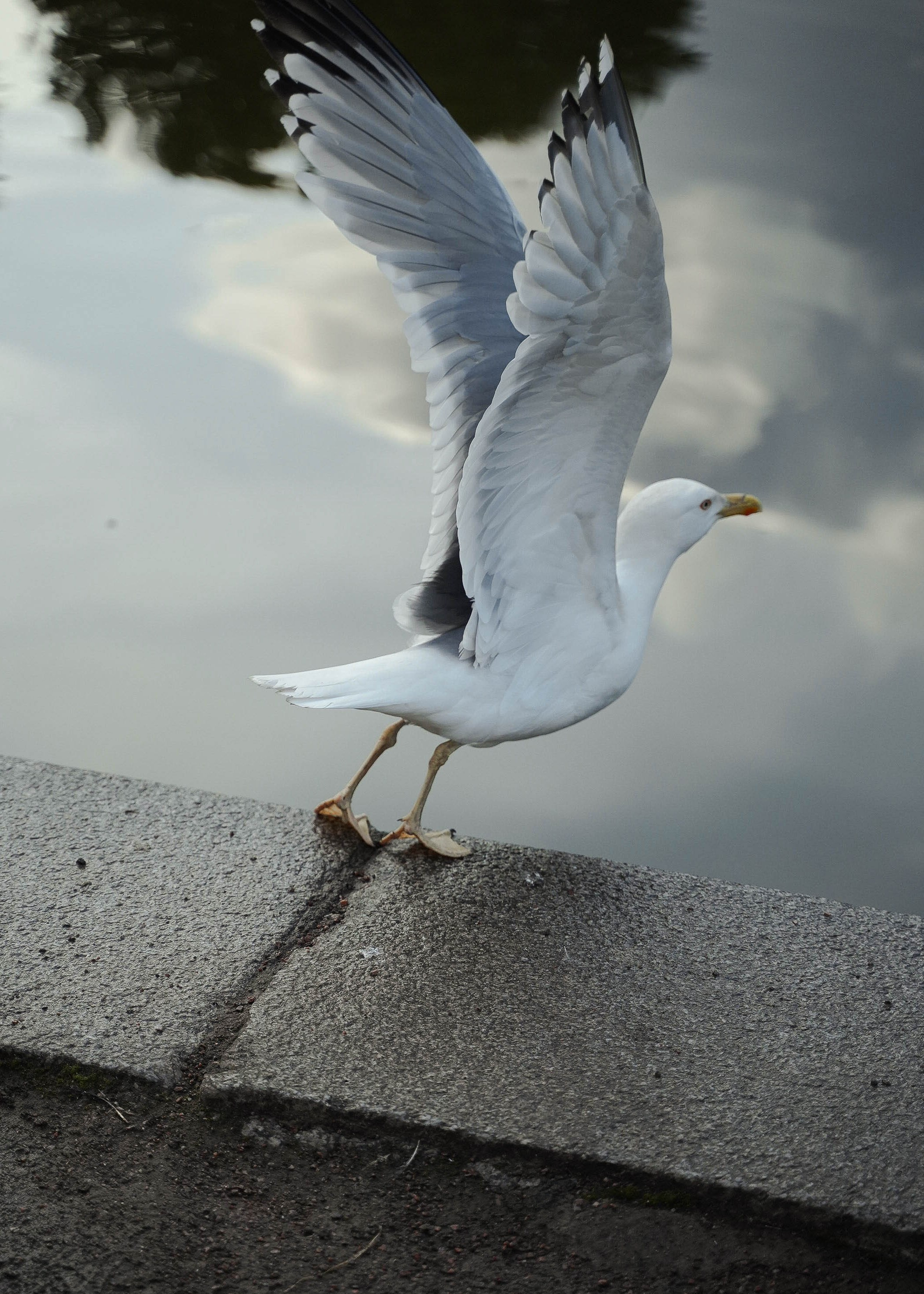 В А Л Е Р И Я. Арт фотограф и стилист Ульяна Терезникова