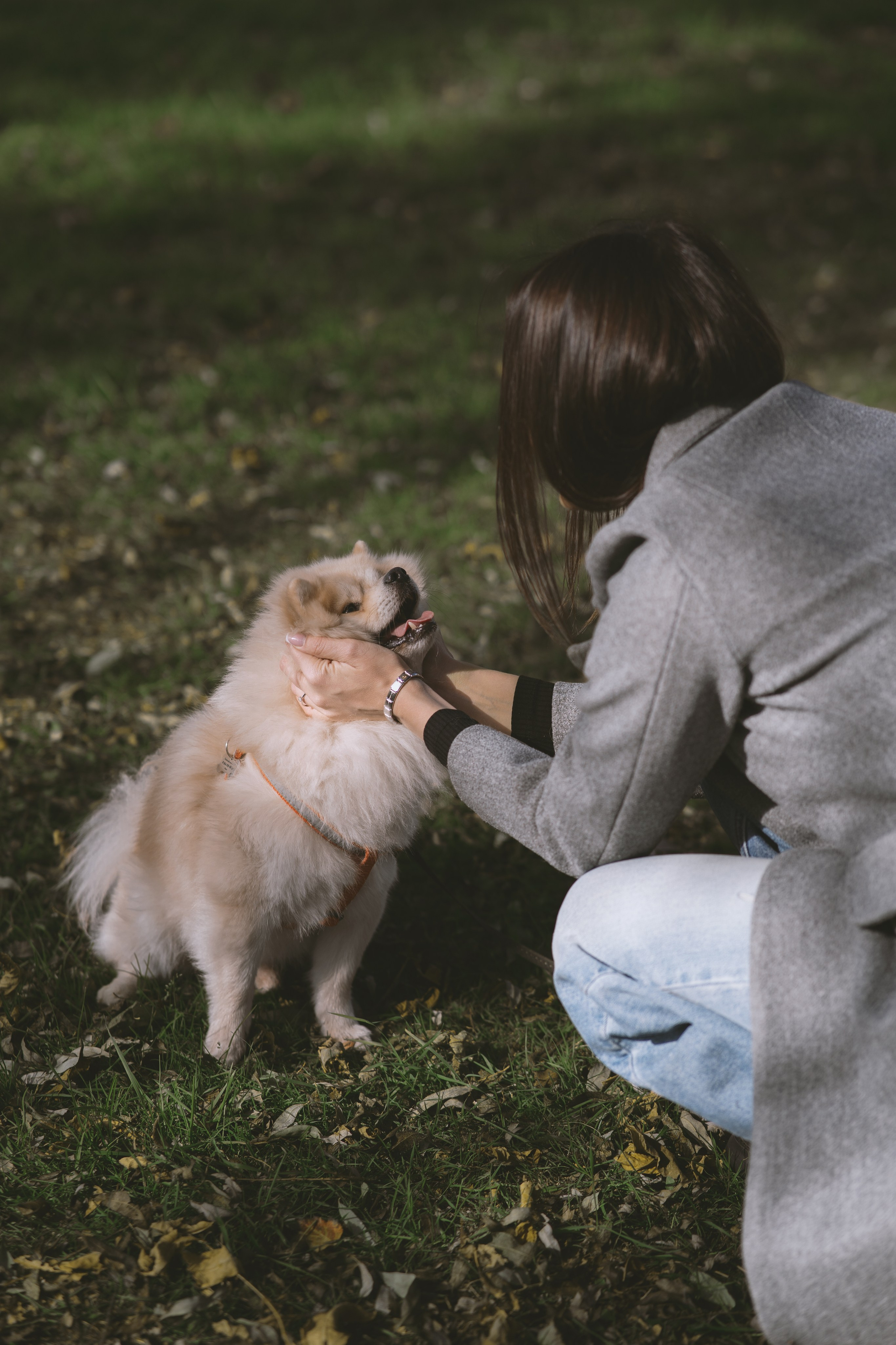 Дарья и ее шпиц Роня. Фотограф в Хабаровске — Виолетта Агафонова