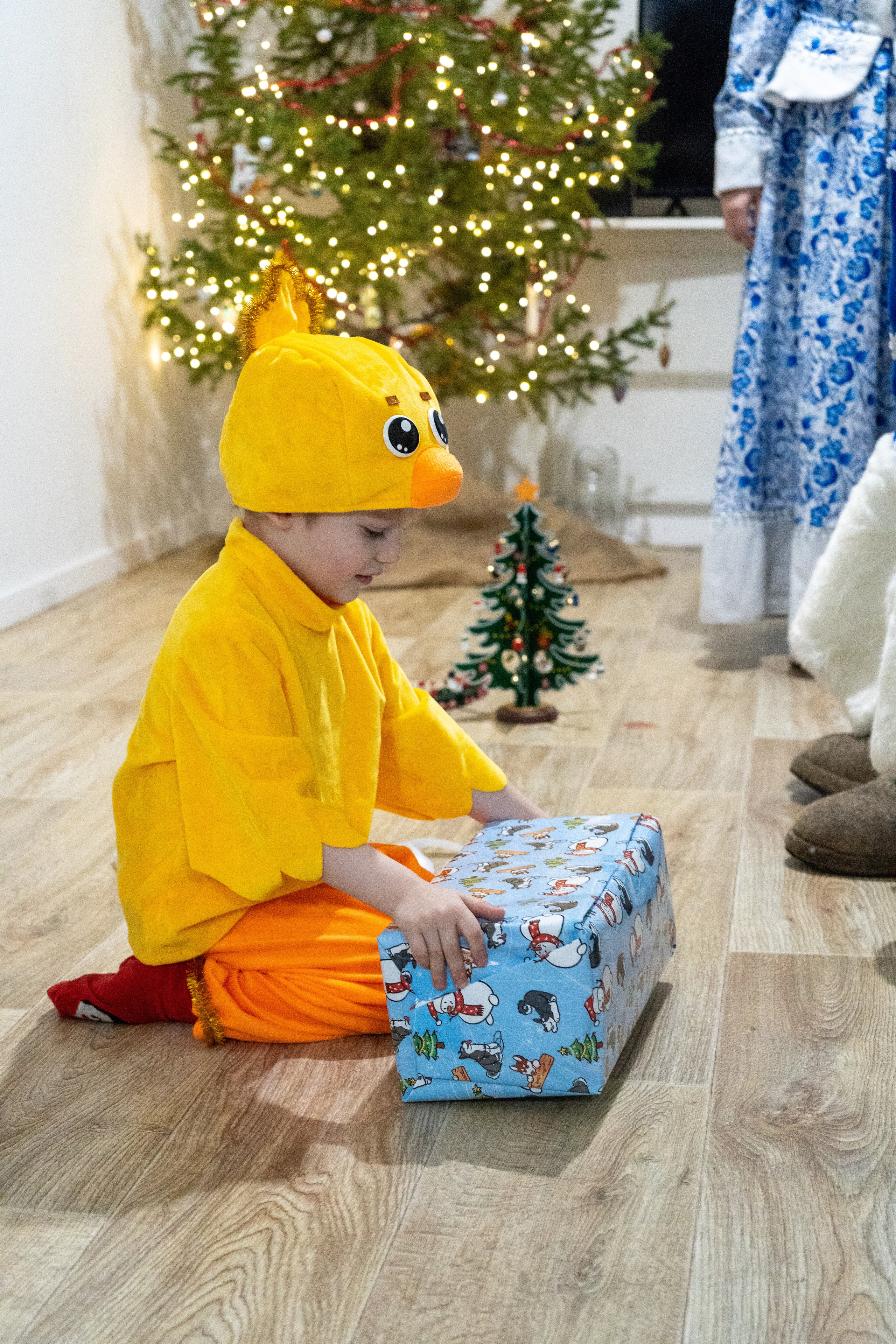 Новый год дома. Алена Коломоец | Фотограф, Мирный, Якутия