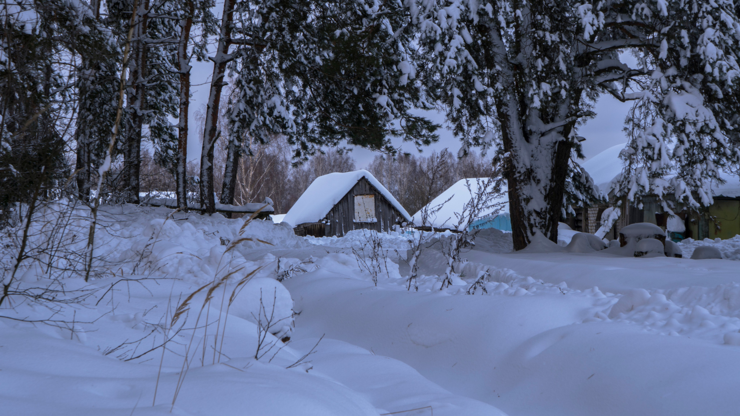 Пейзаж сельский. Портретный фотограф в Санкт-Петербурге Максим Чуликов