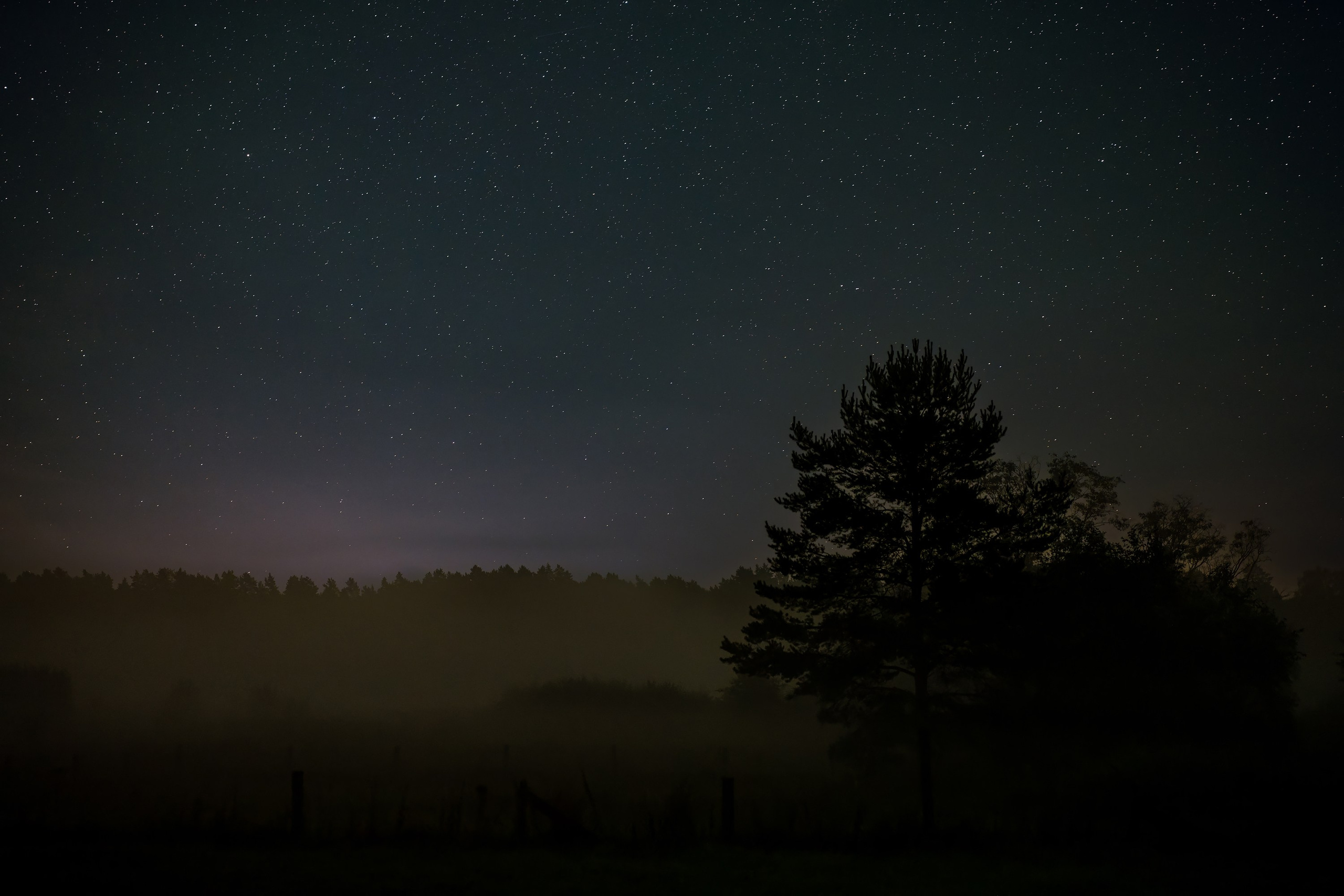 Фотографии Национальный парк Угра. Фотограф спортивные события, недвижимость, турбизнес