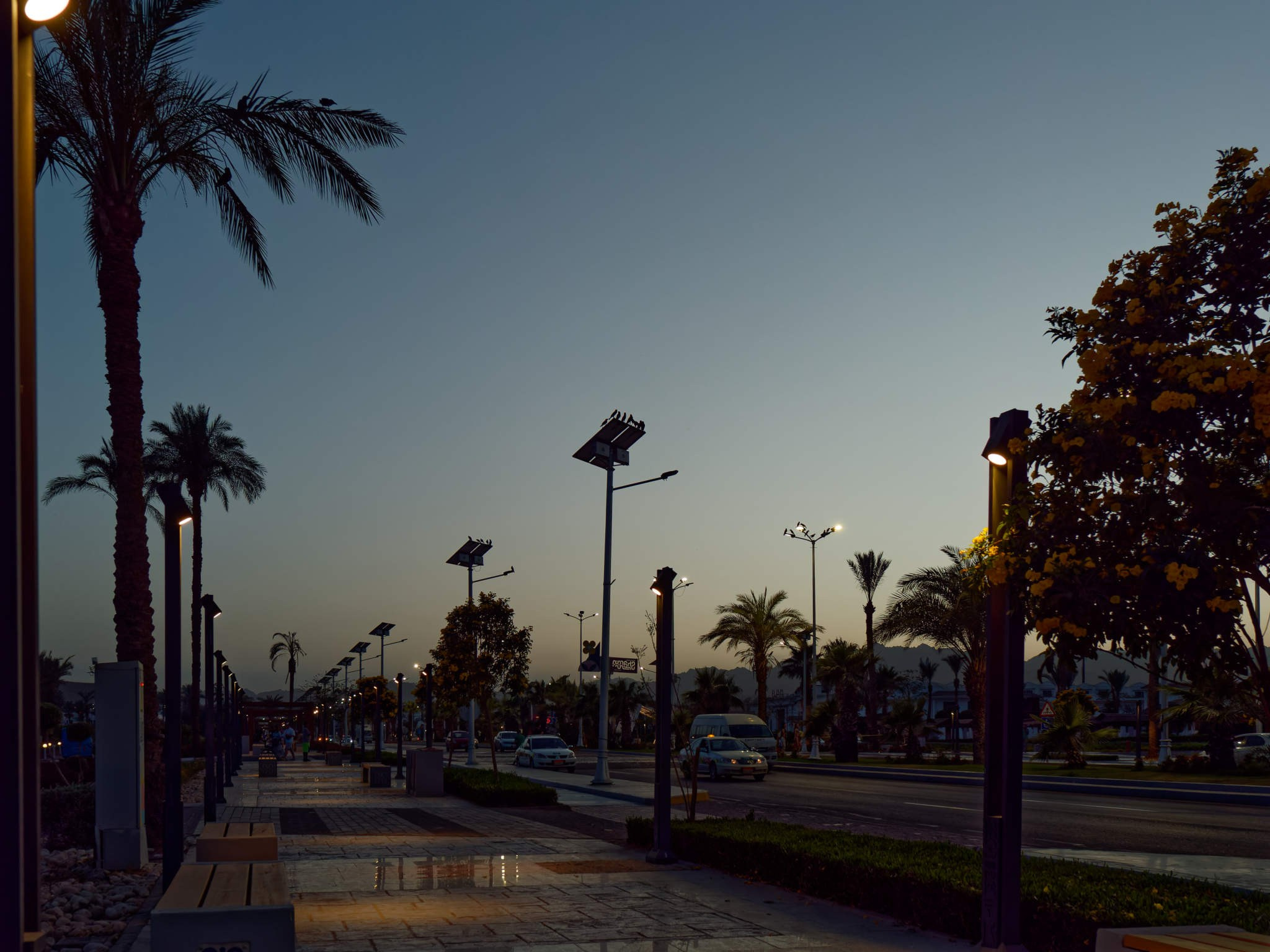 Шарм-эль-Шейх 2024. Избранные фотографии