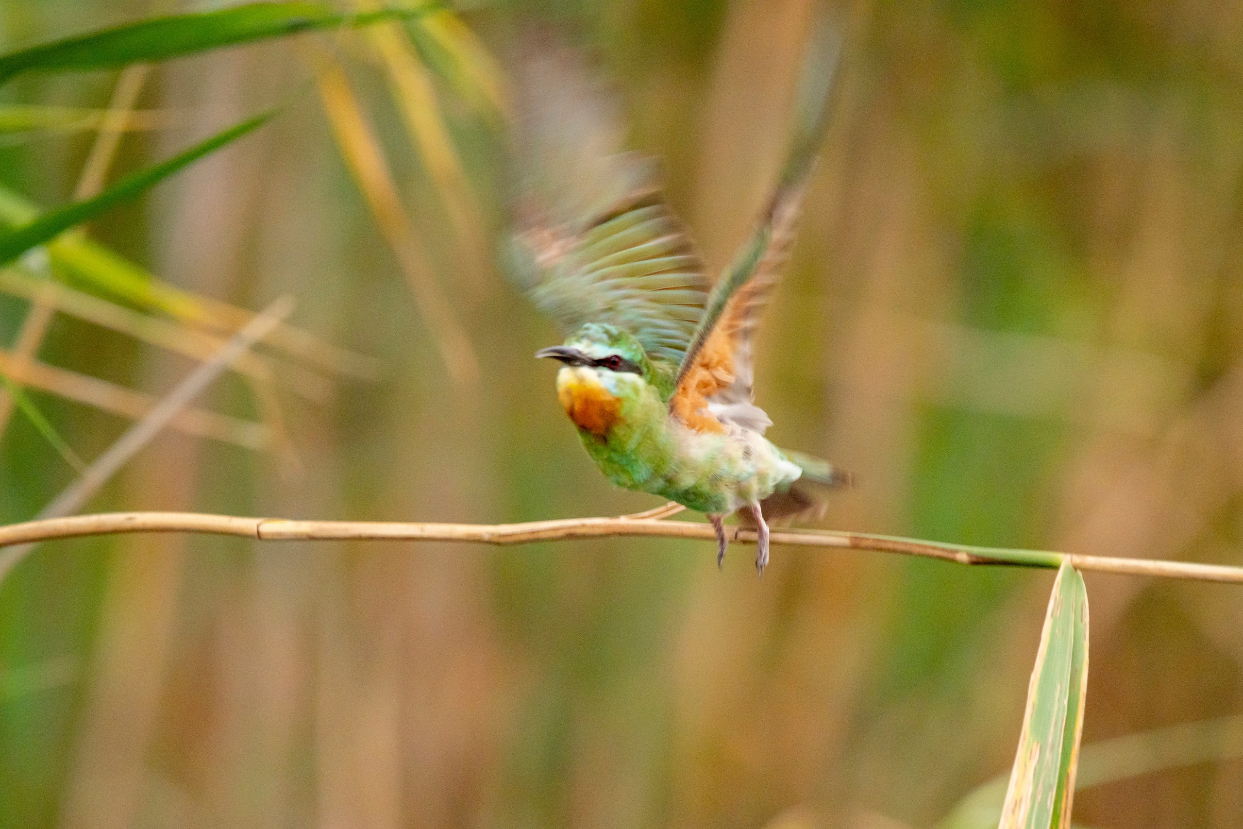 Природа Дагестана, сентябрь 2024. Foto-Zuev фотография как искусство