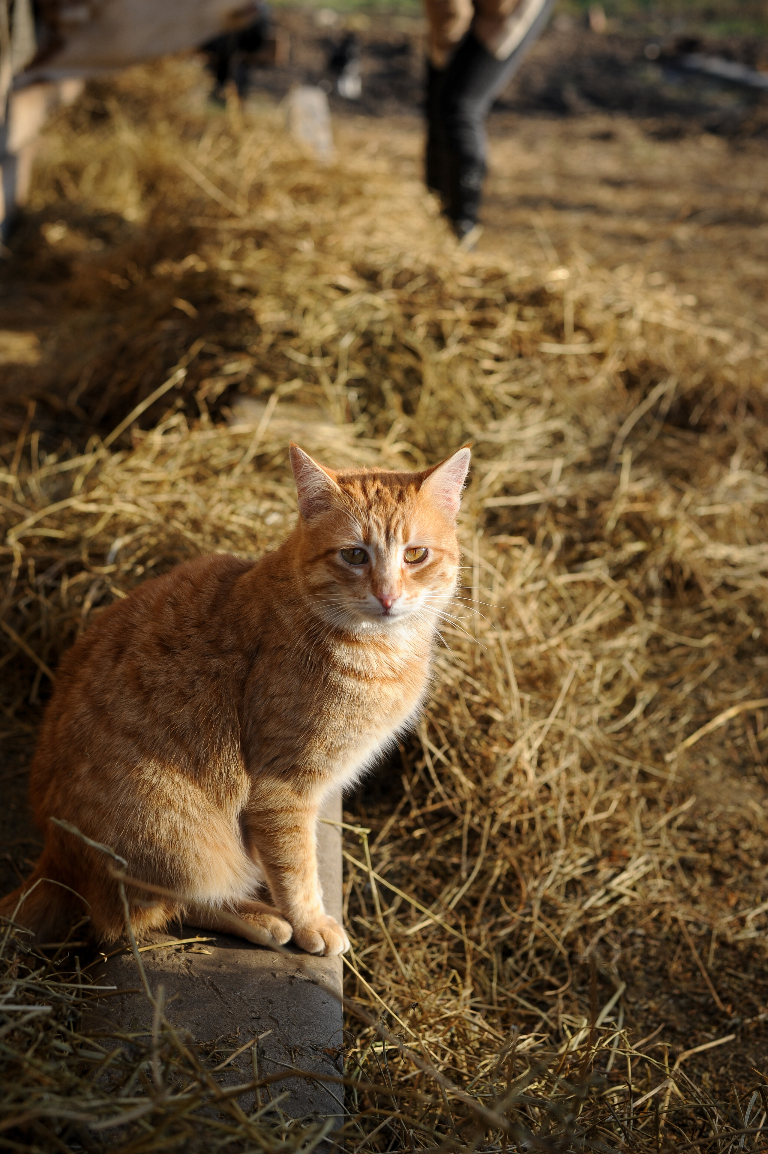 Маргарита. Фотограф, визажист. Москва