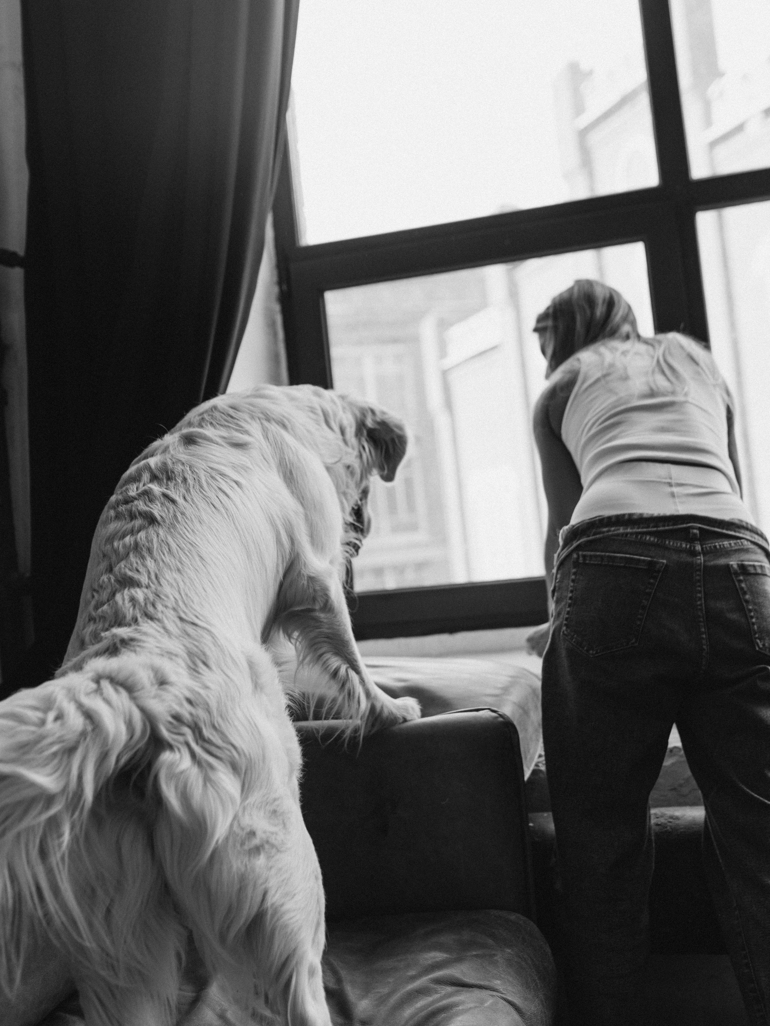 Энди и Настя. Фотограф-анималист в Москве Кириллова Татьяна