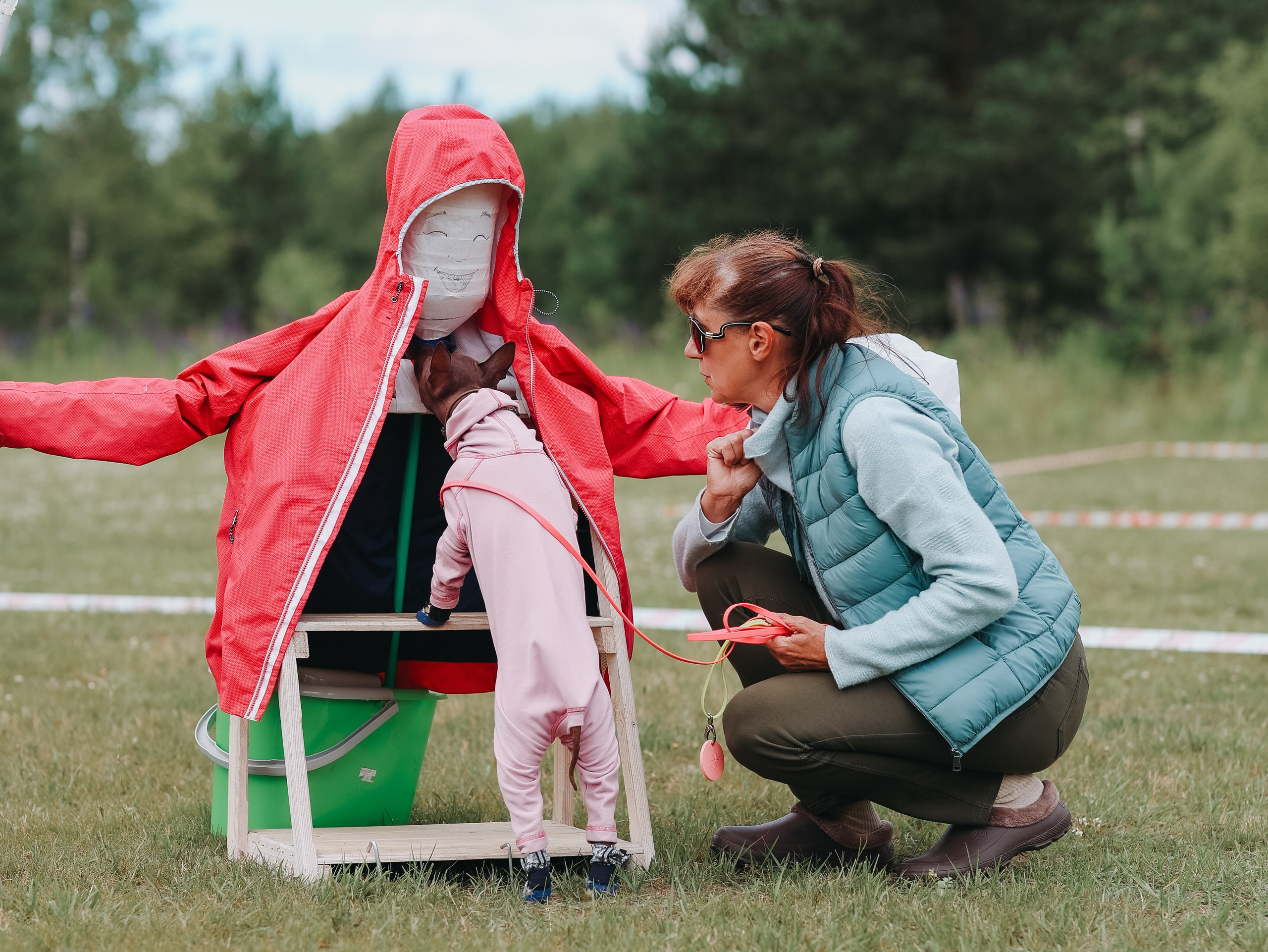 Лагерь ноузворк. Фотограф-анималист в Москве Кириллова Татьяна