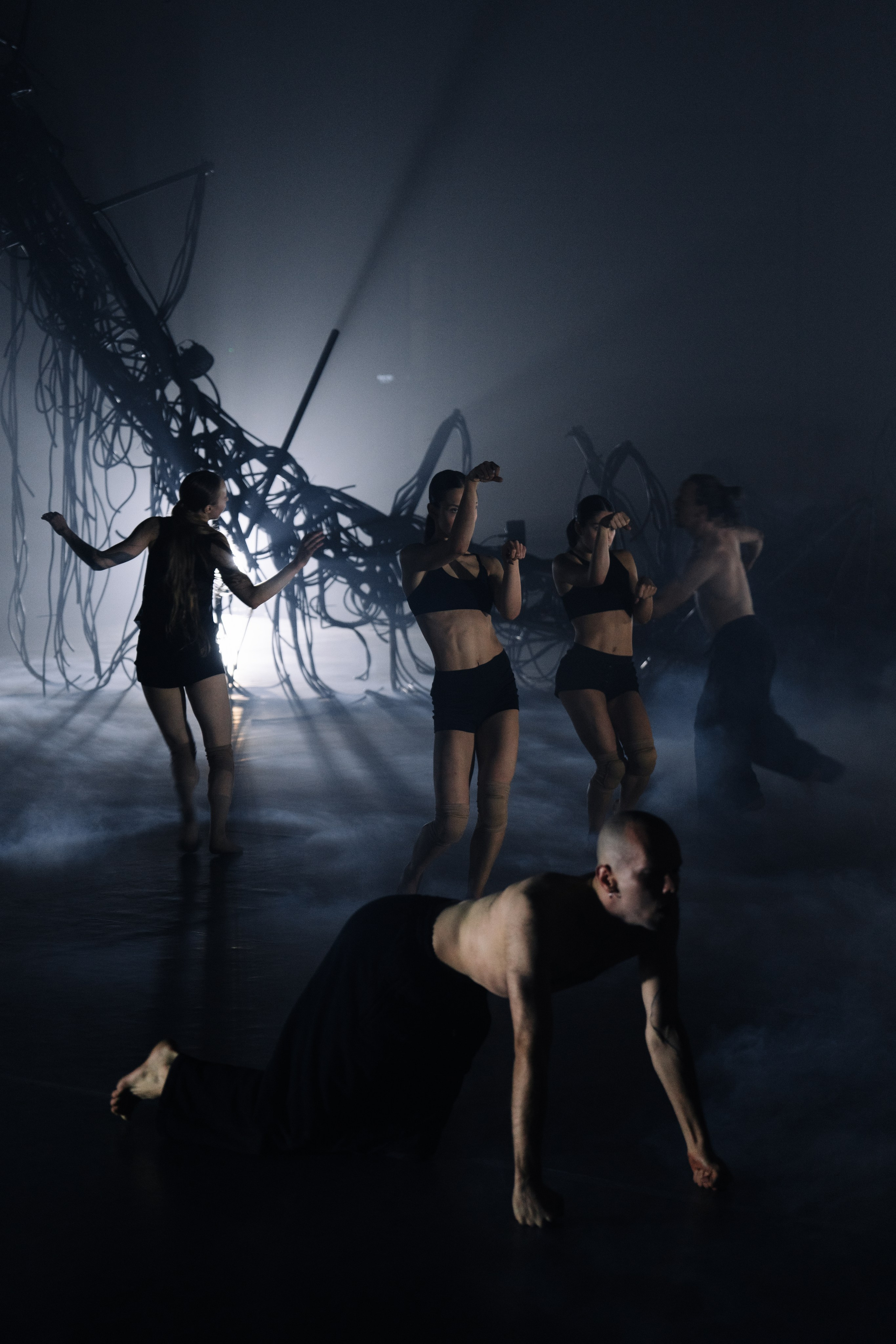 PERFORMA, The Hour of the Horse. @tomrus: Рустам Шагиморданов — фотограф