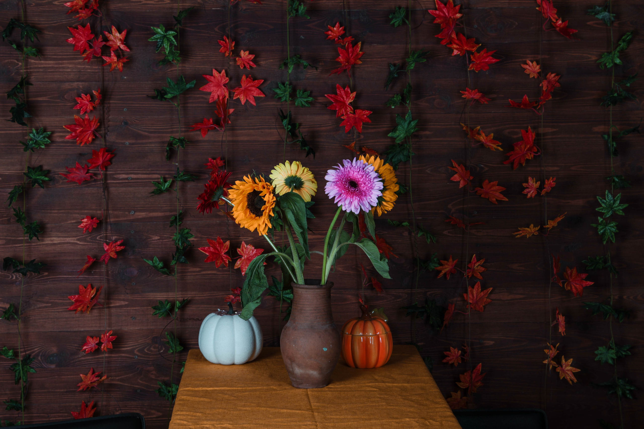 Реквизит прокат реквизита для фотосессий в Жуковском посуточно аренда посуточно. Одежда , аксессуары, костюмы. Фотограф для маркетплейсов, фотоуслуги в Жуковском Татьяна Марсуверских