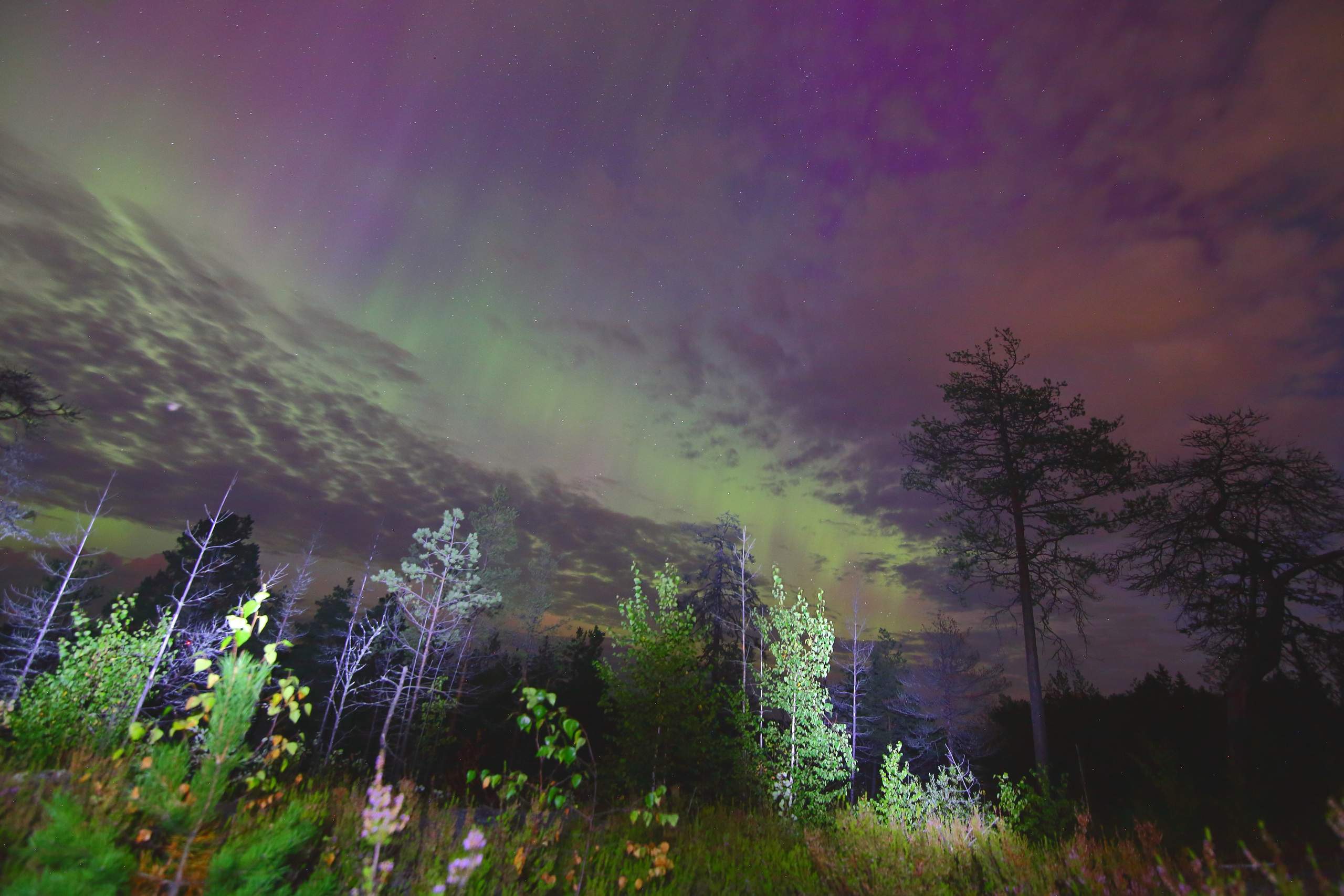 Ленинградская область — Карелия. Свадебный и репортажный фотограф в Ярославле и Санкт-Петербурге Роман Микрюков