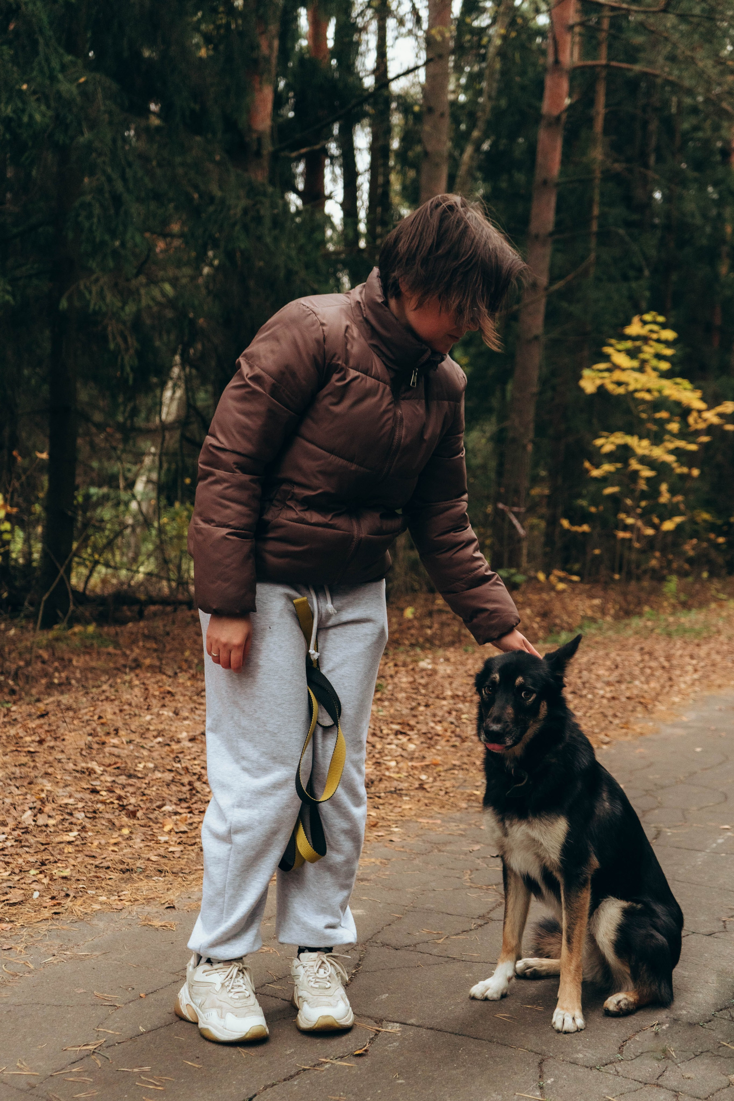 Даша, Леша и Гарри