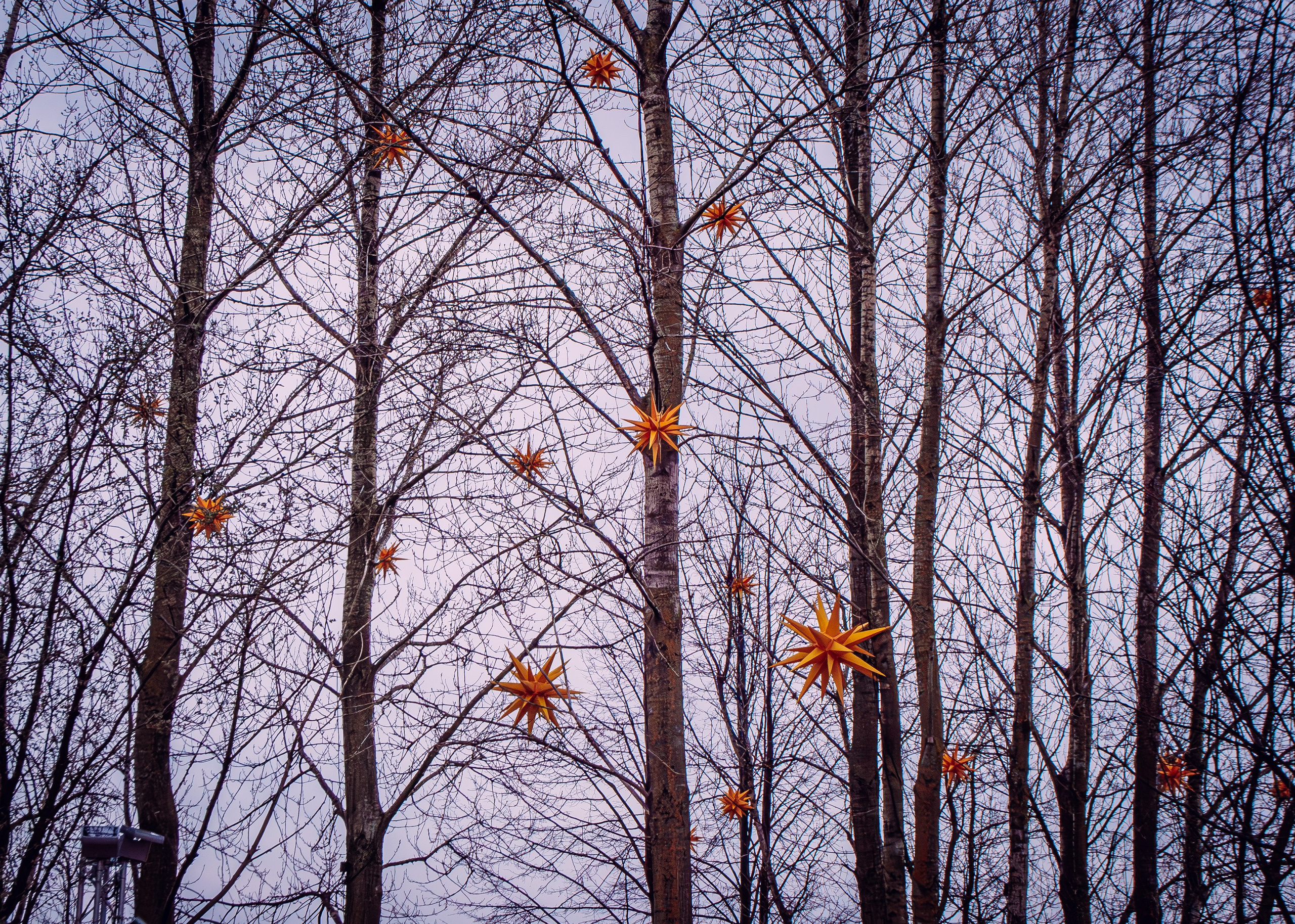 Севкабель. Портретный фотограф DanilNabody