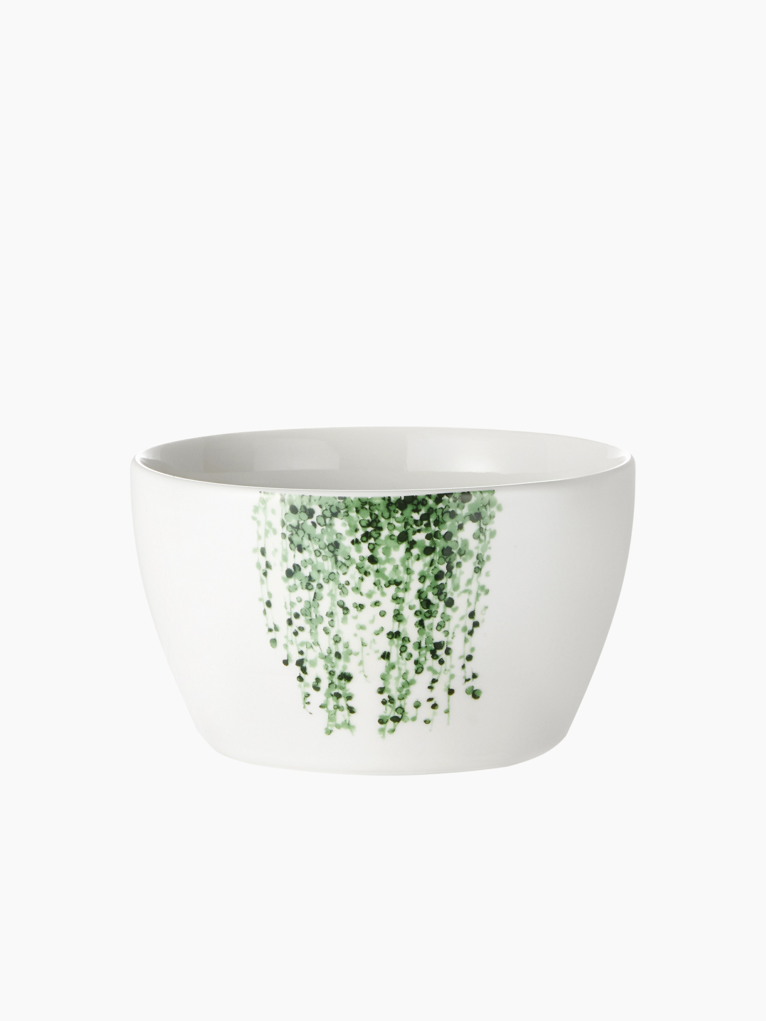 Каталог на белом фоне. Портфолио