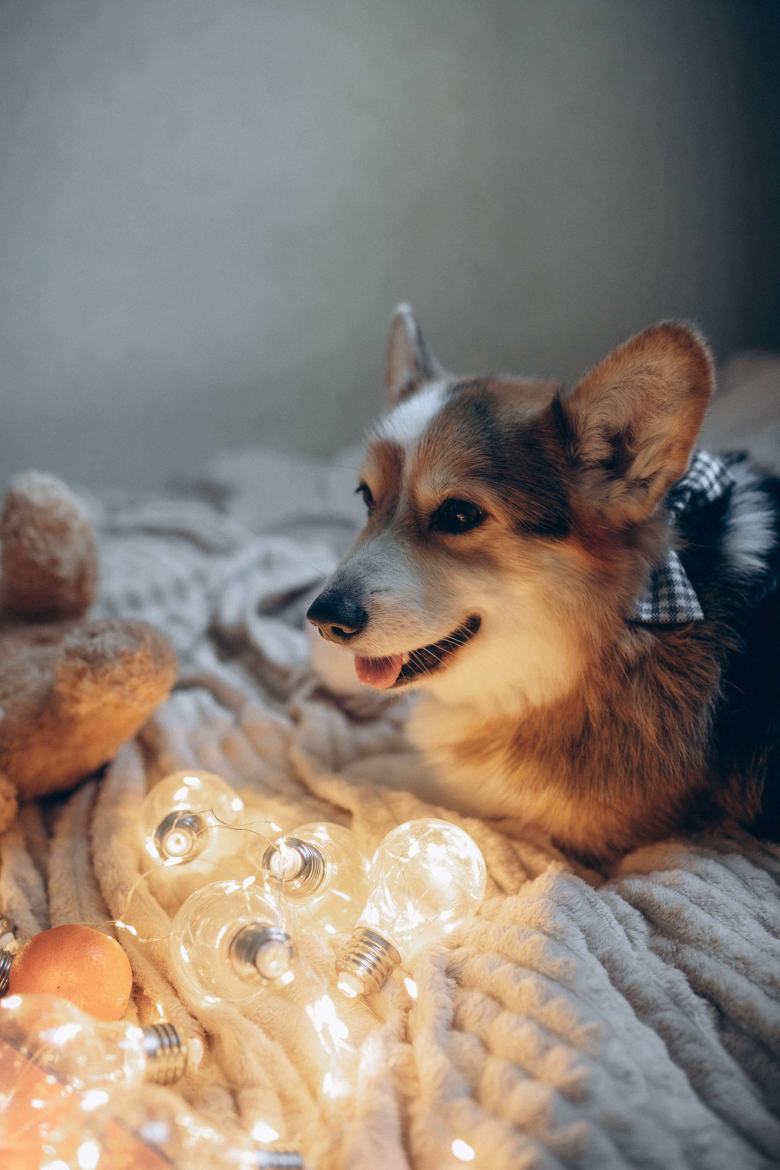 Семейная |Санкт-Петербург. Свадебный фотограф из Санкт-Петербурга