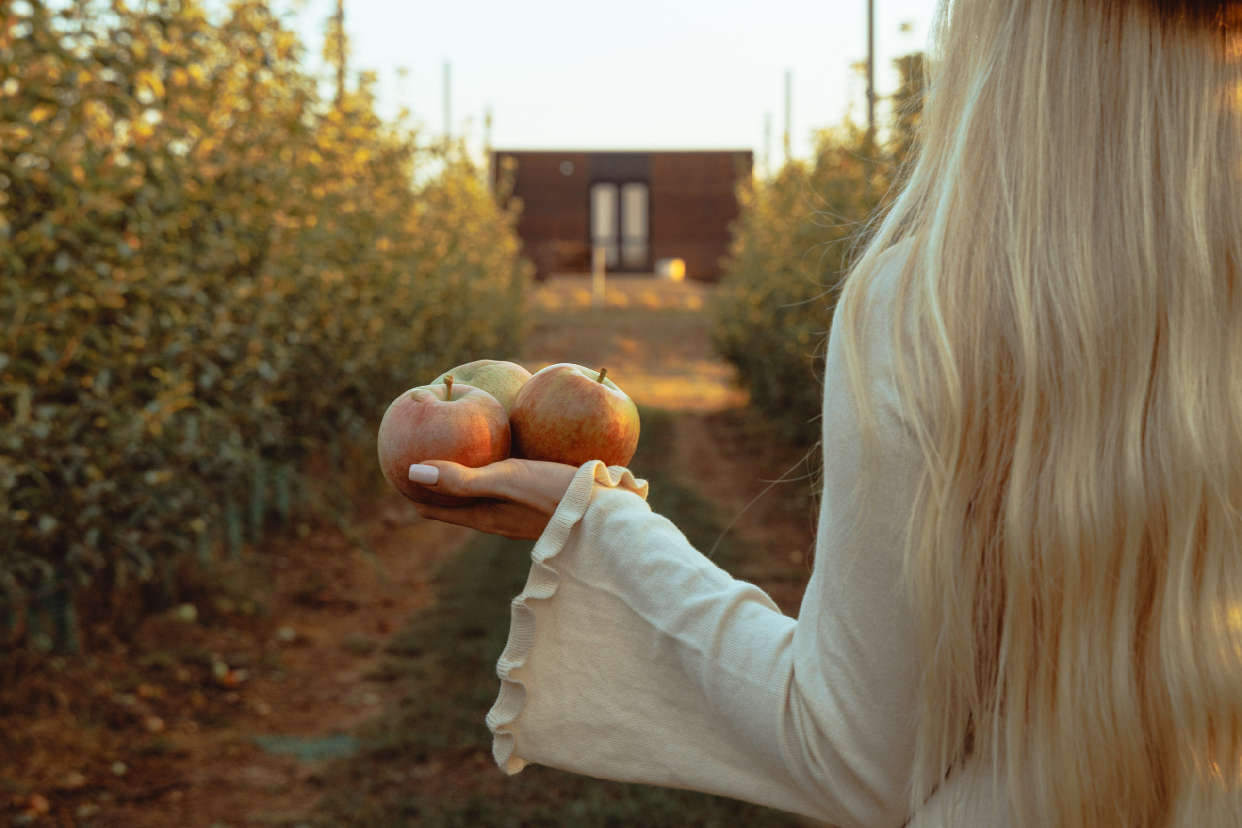 Domik в саду. Артем Корнев Фотограф