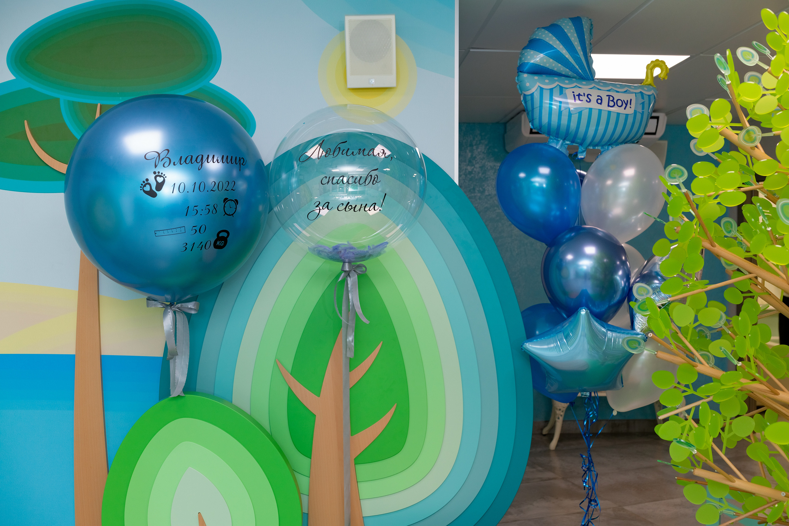 Фотограф в роддоме Сестрорецком г. Санкт-Петербург Банасиковская Ксения