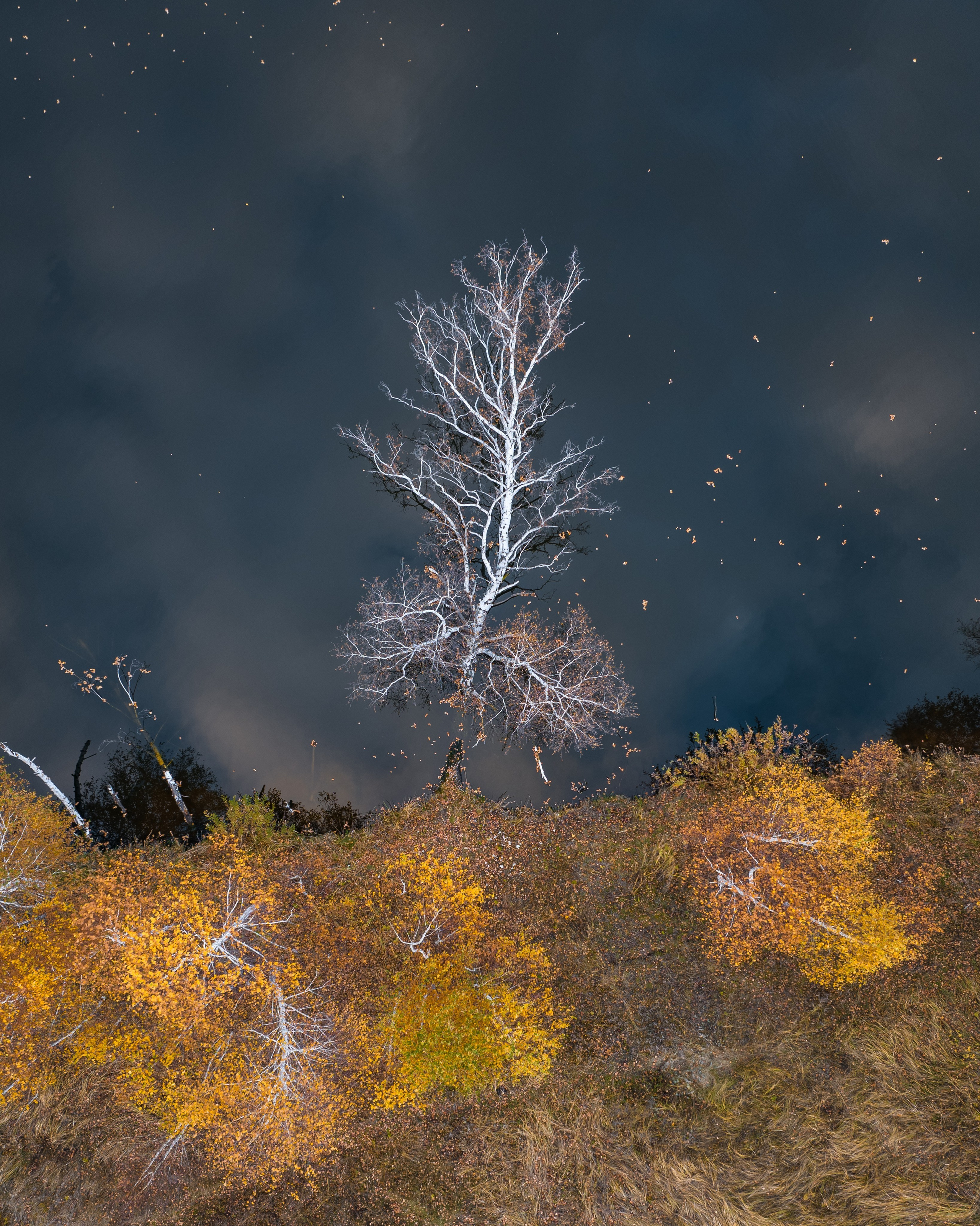 Портфолио. Andrew Gusarov Nature Photography