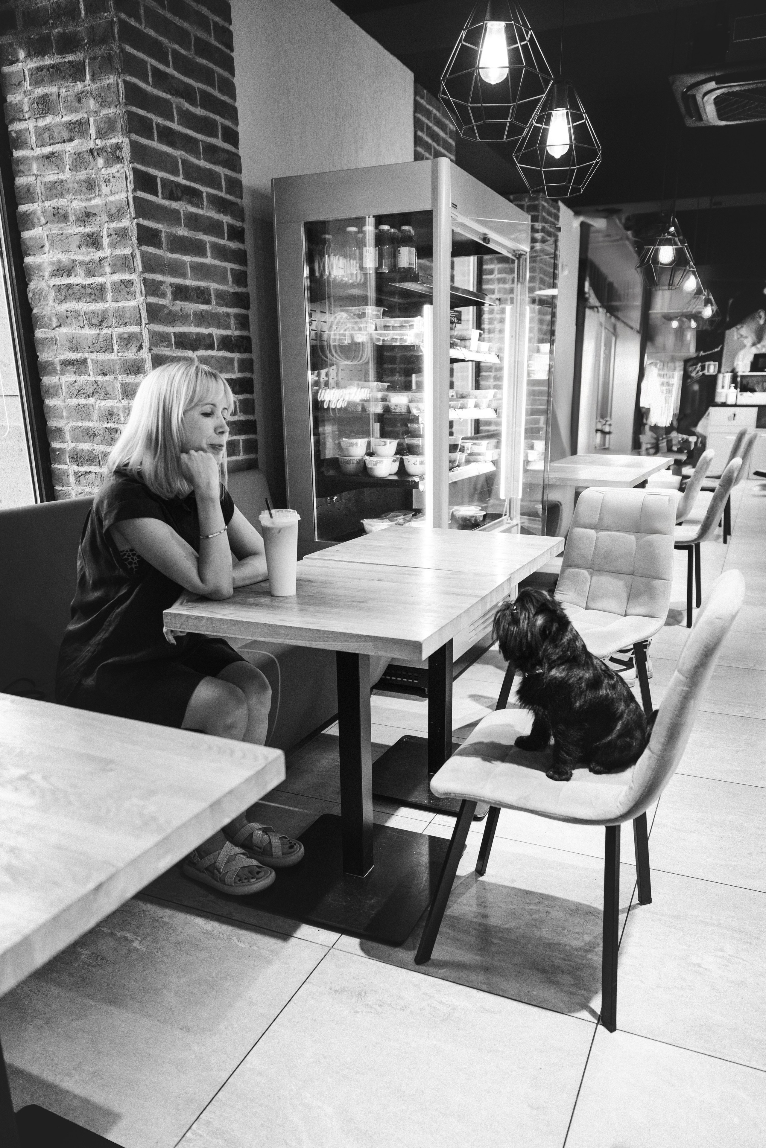 Ася и Кузя. Фотограф анималист Осипчикова Мария