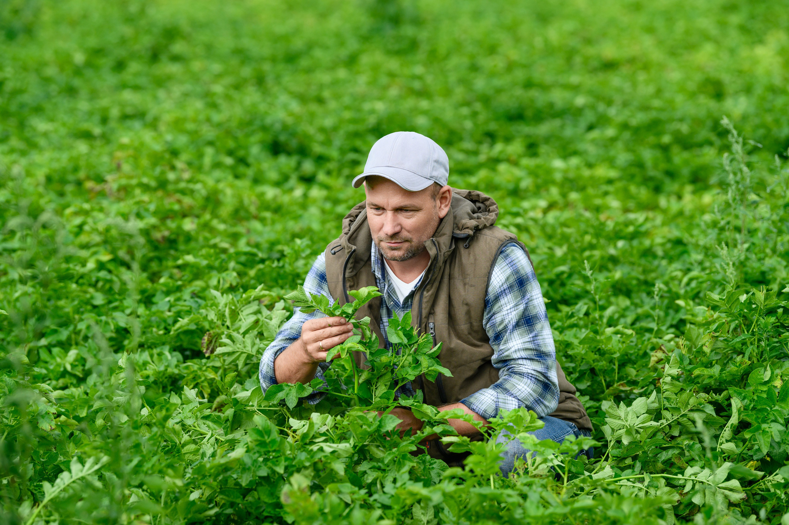 Проекты. Профессиональный фотограф Вячеслав Плацында | Липецк |