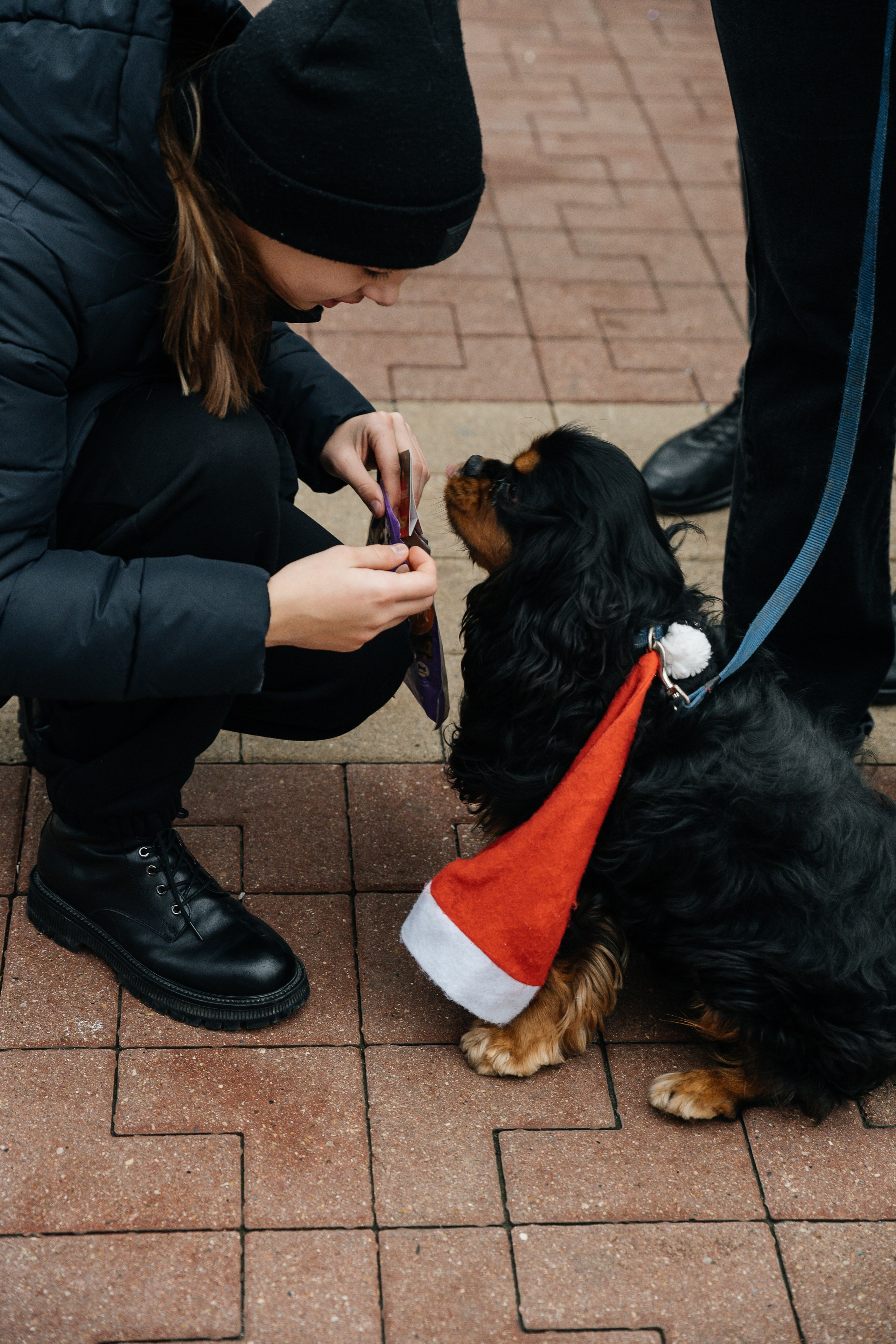 Побегай 1 января. Алена Костарева. Фотограф в Ростове-на-Дону