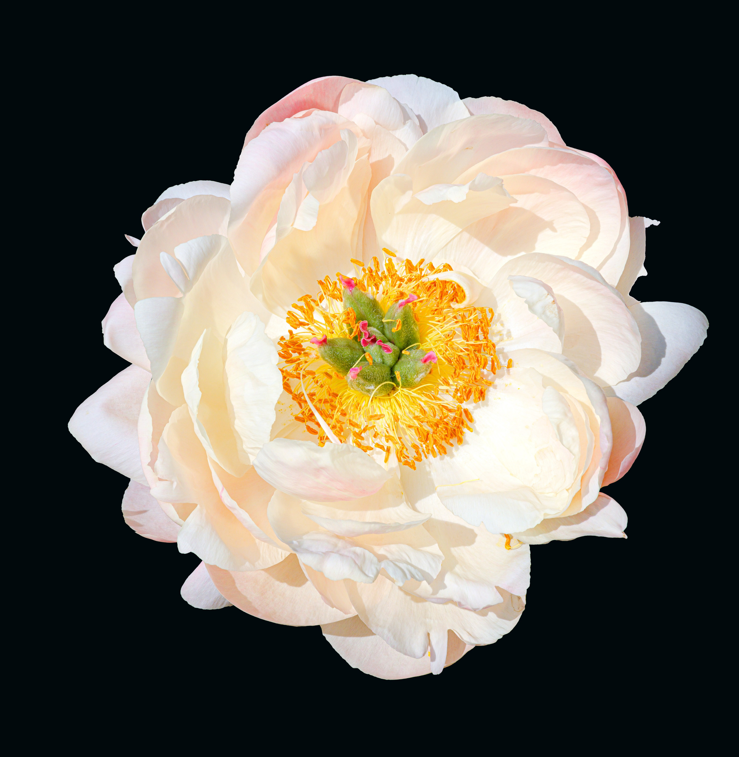 Разное. Fotolux