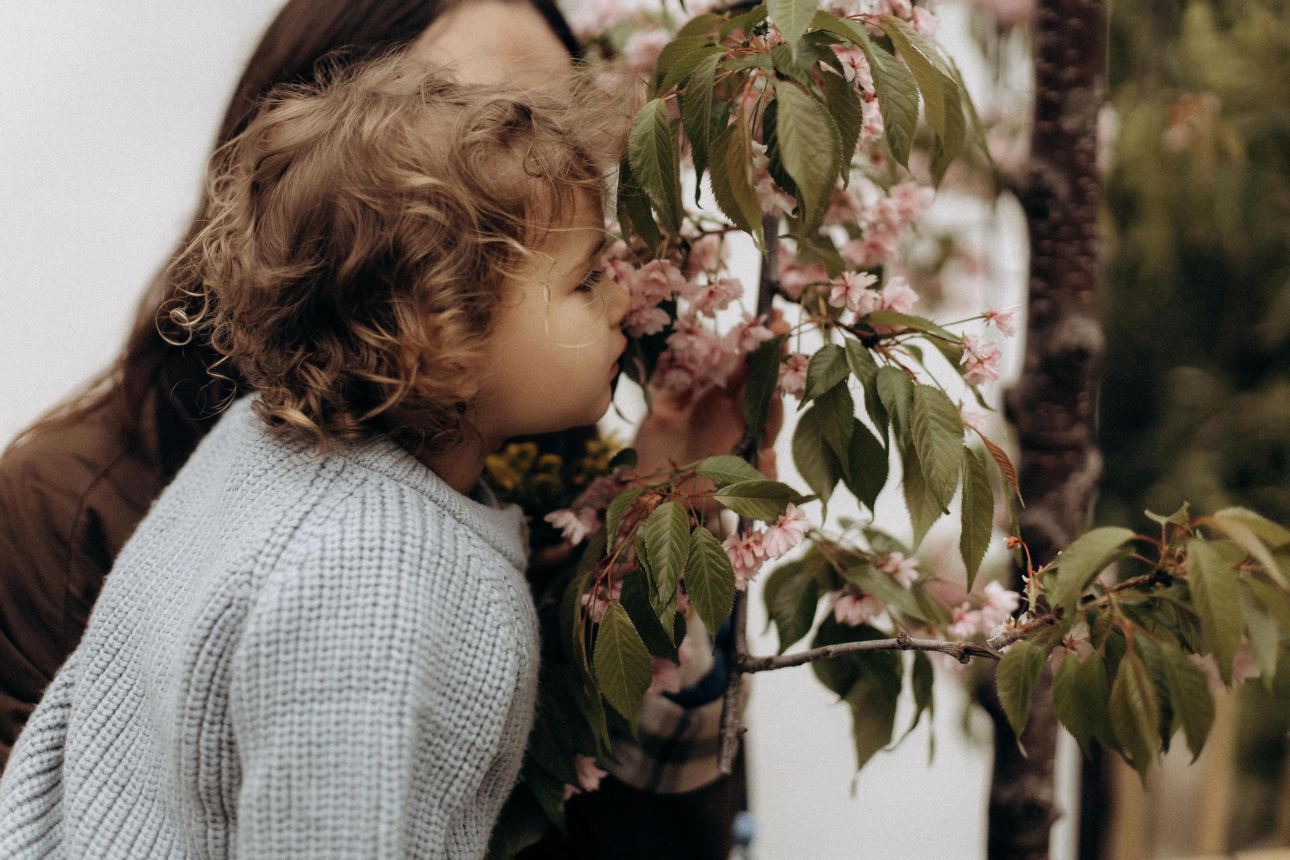 Анастасия, Анюта и Петя. Фотограф Тбилиси Саша Мороз