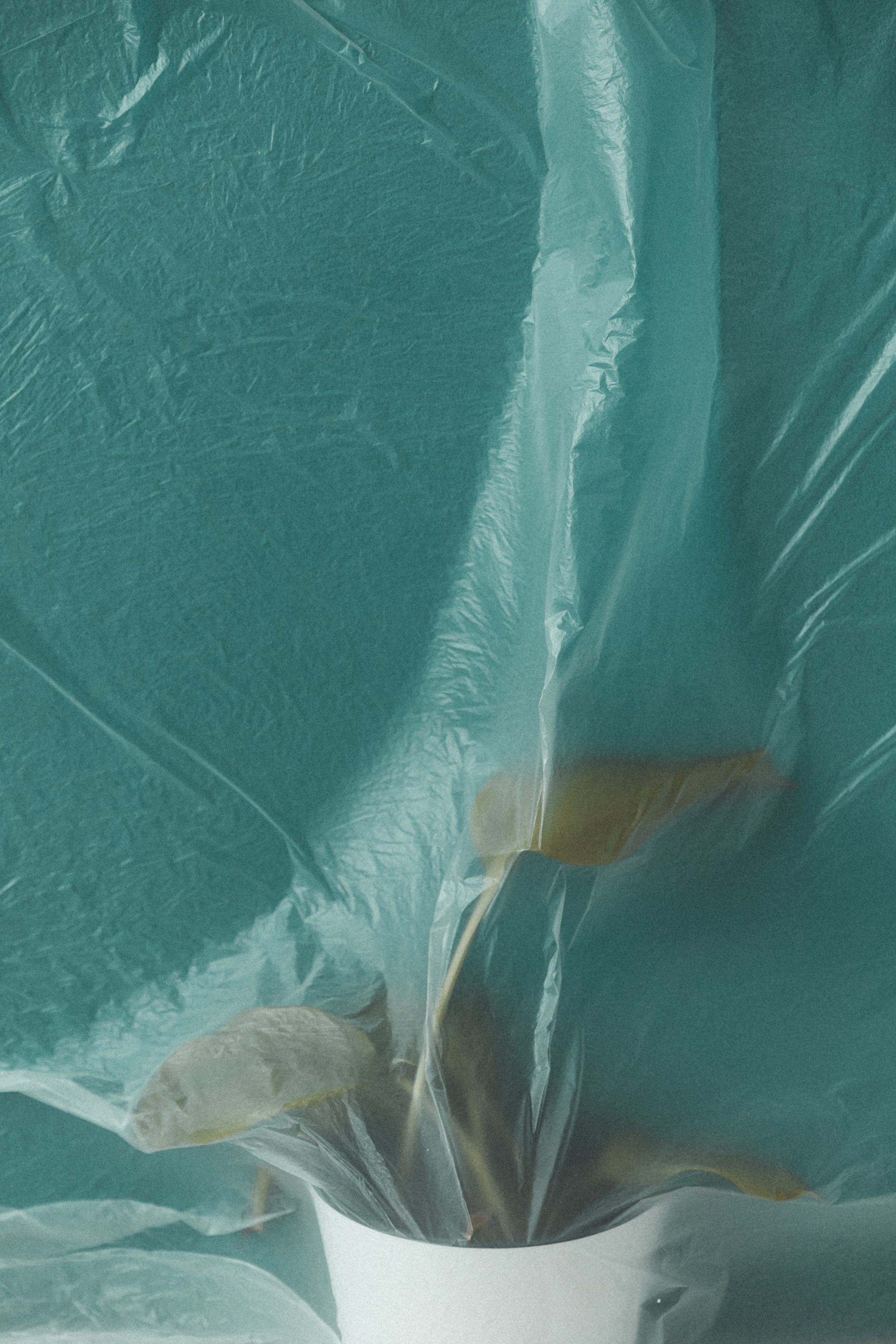 P L A S T I C. Свадебный фотограф Колесников Антон