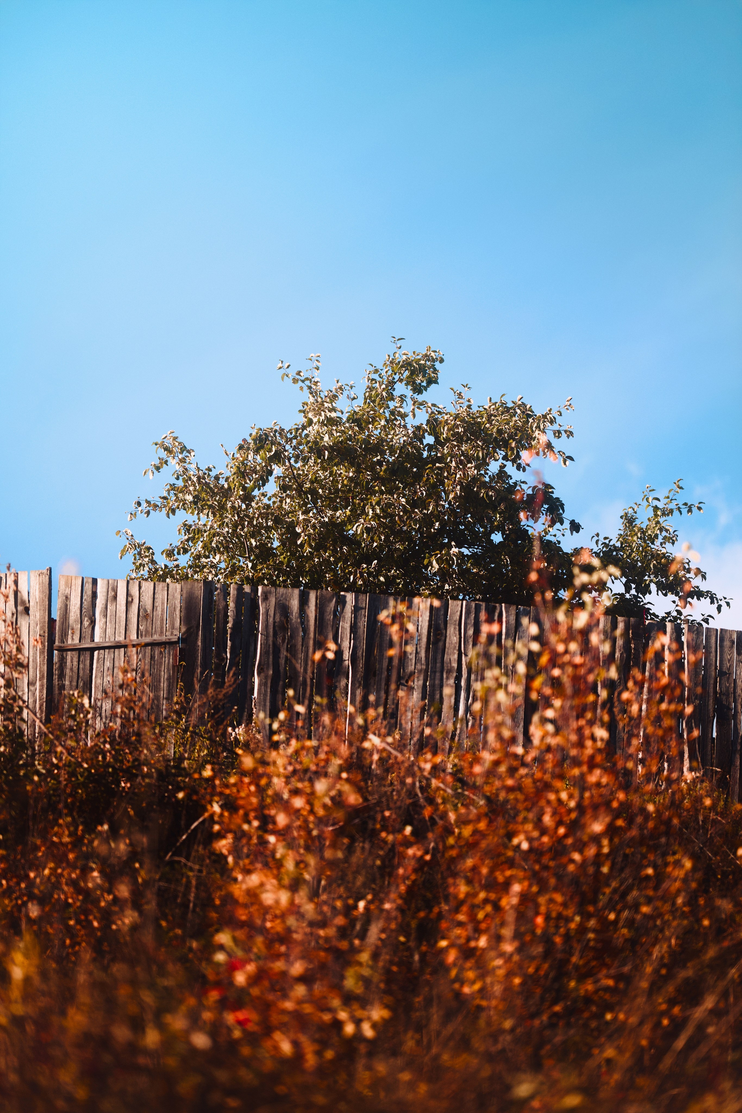 Пейзажи. Фотограф-любитель из Кирова Андрей Погребняк