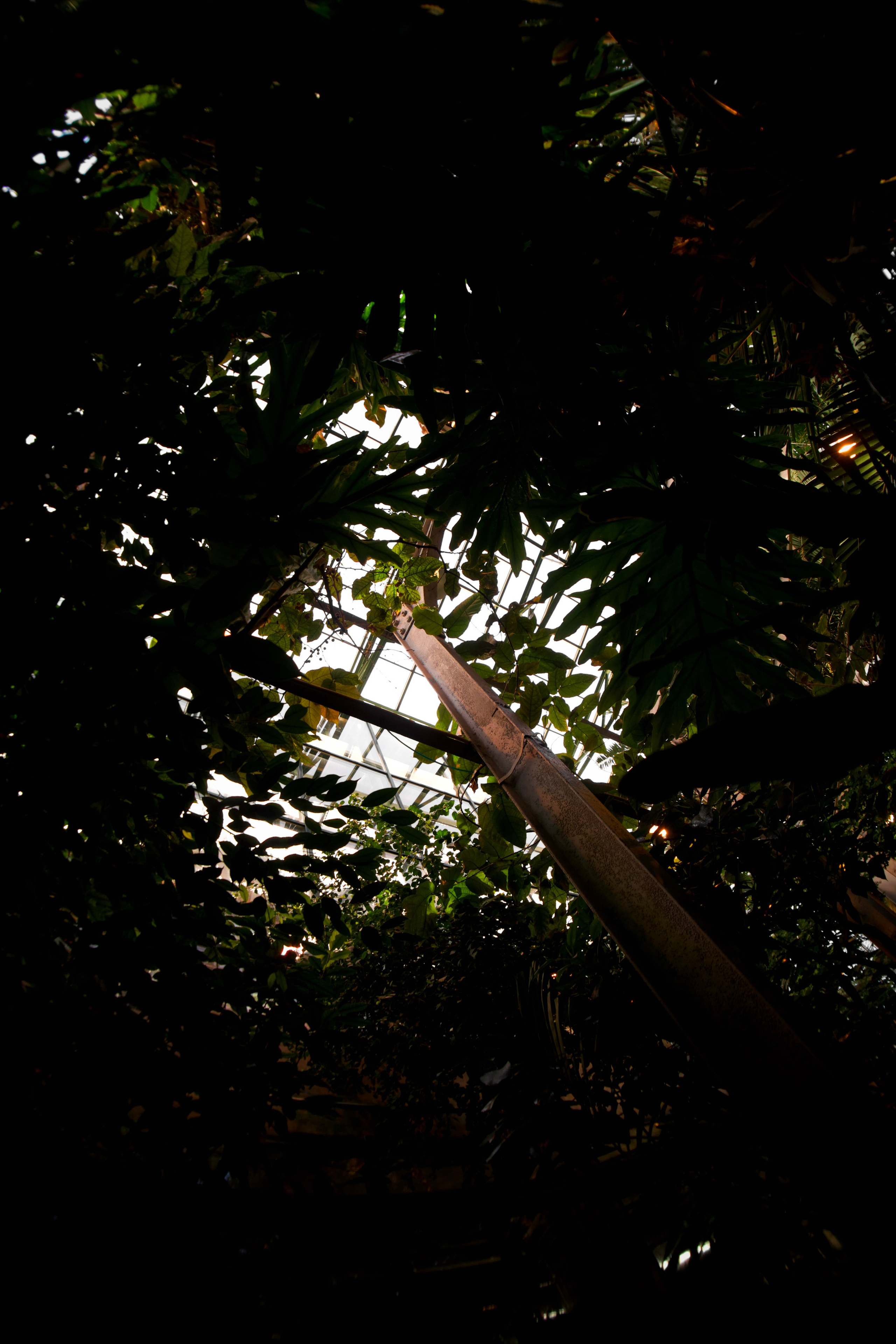 Аптекарский огород. Фотограф-любитель из Кирова Андрей Погребняк