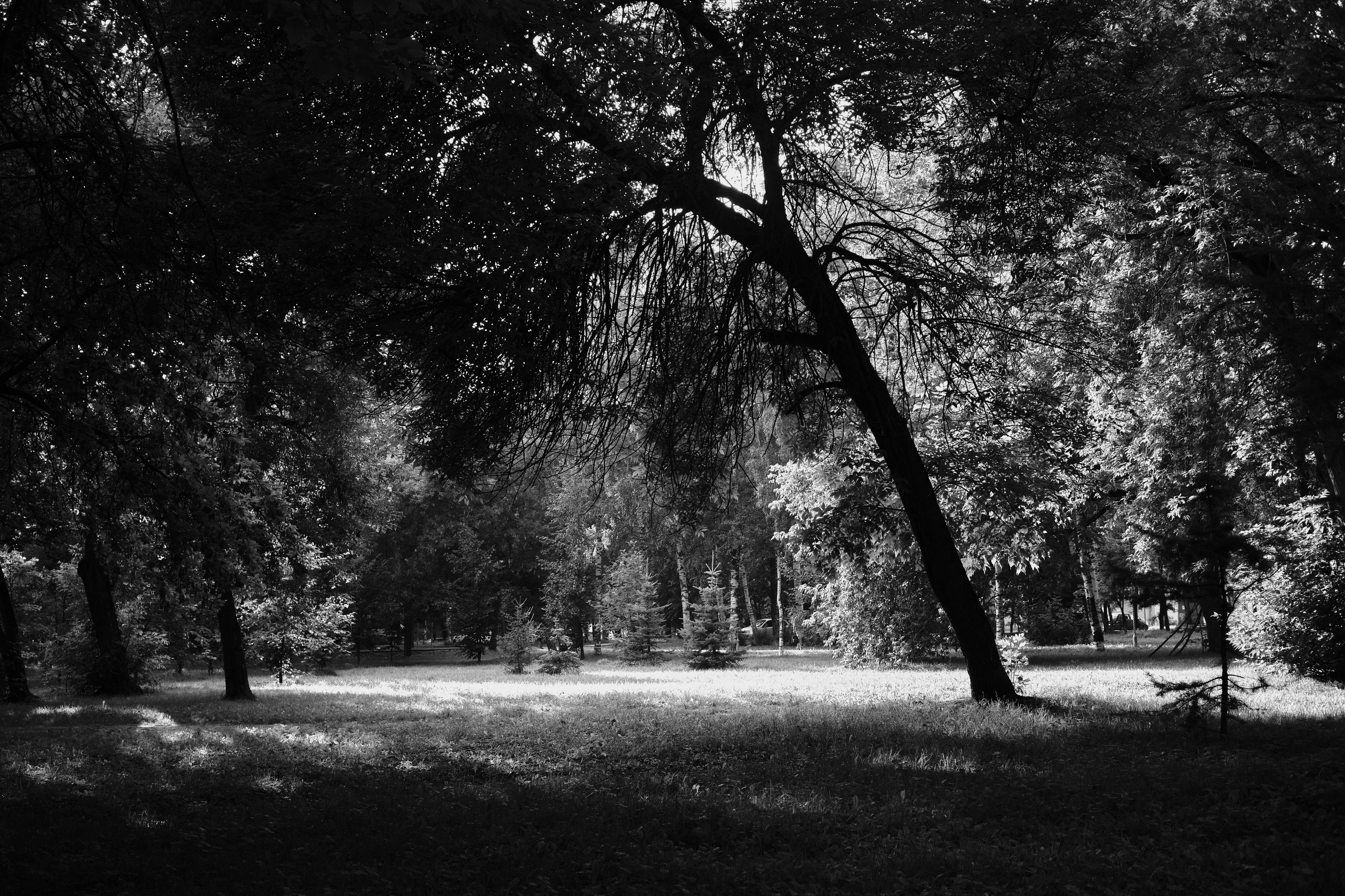 ЧБ. Фотограф-любитель из Кирова Андрей Погребняк