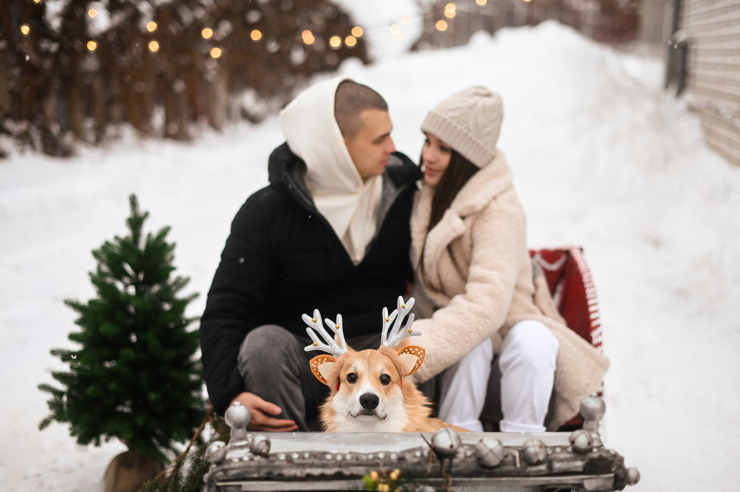 Lovestory. Свадебный фотограф Анна Данькова