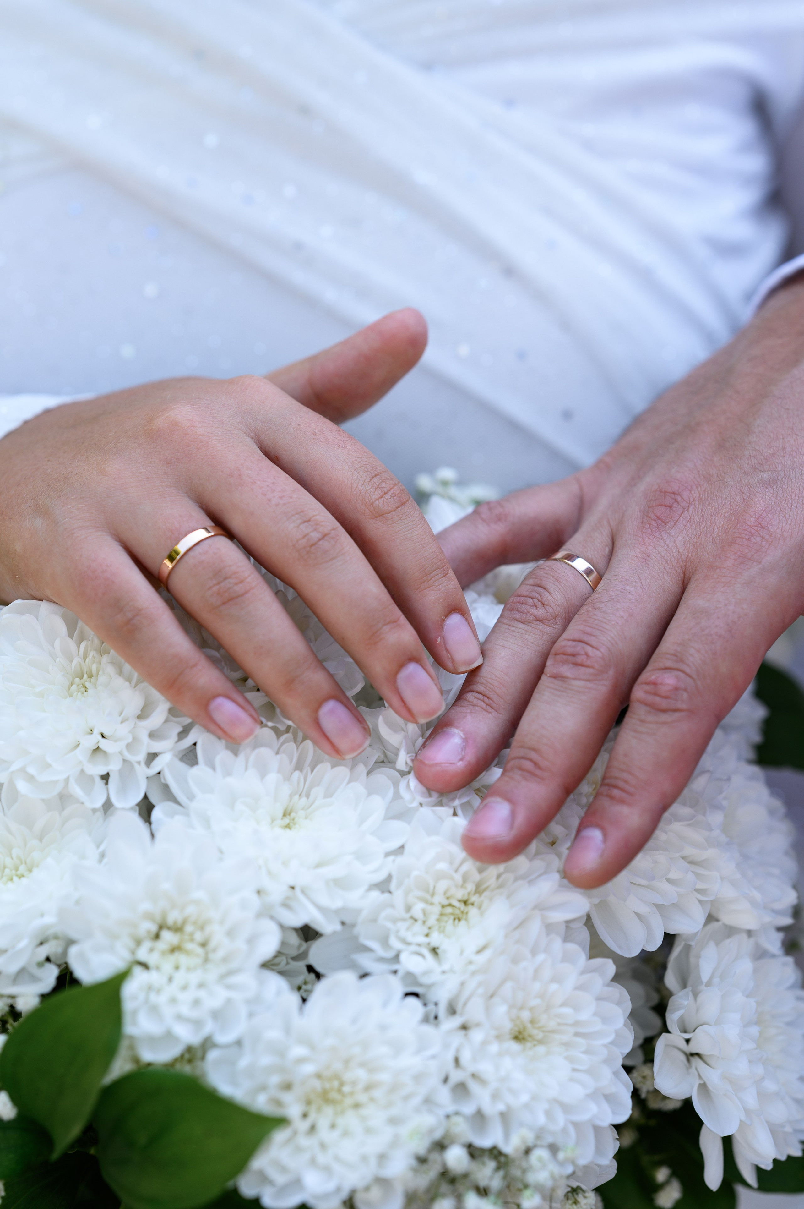 Владислав & Алина. Свадебный и семейный фотограф в Миллерово и Ростове Алёна Черепенина