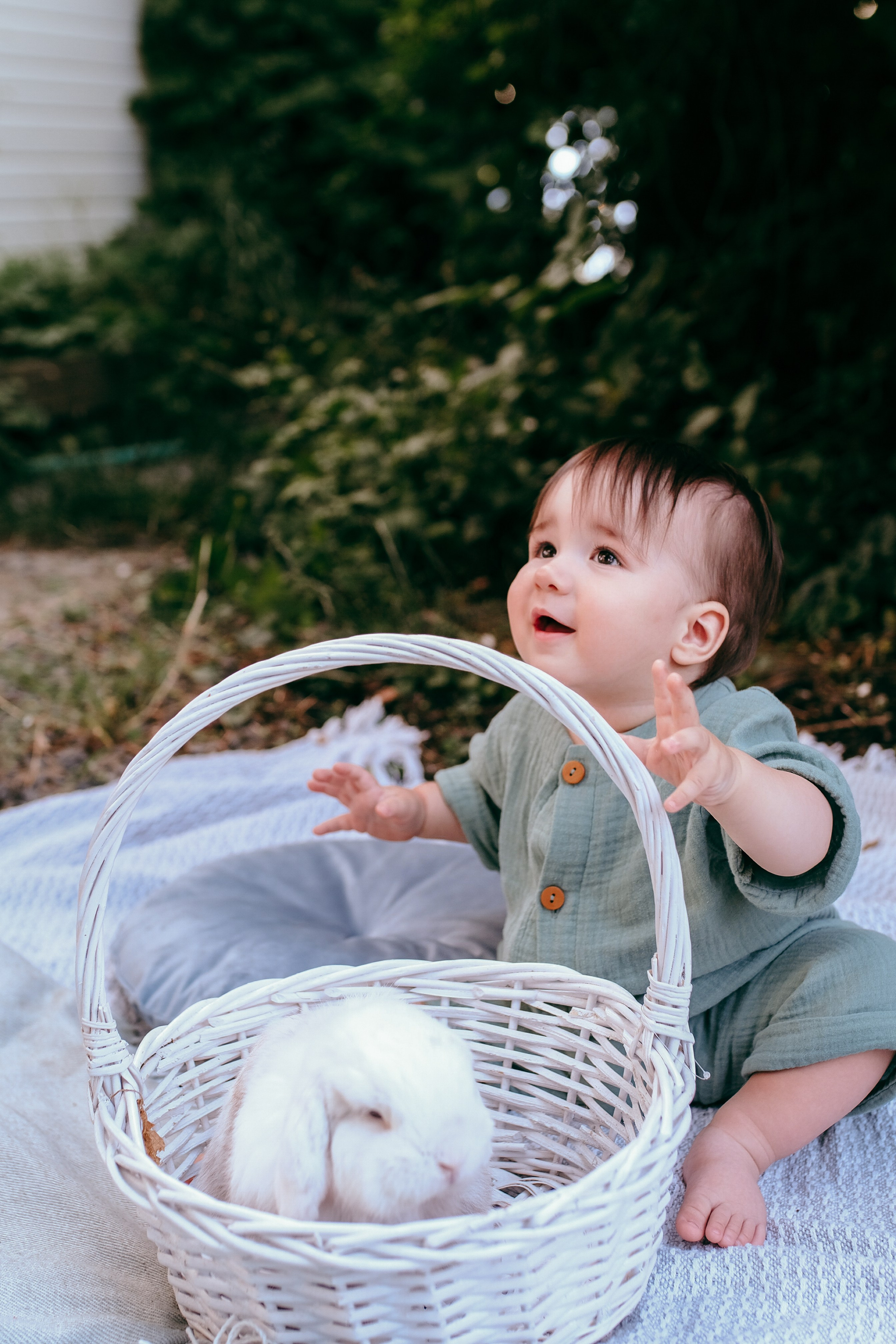 Фотосессия Мирослава с кроликом. Семейный и детский фотограф в Ростове-на-Дону Ольга Есенина