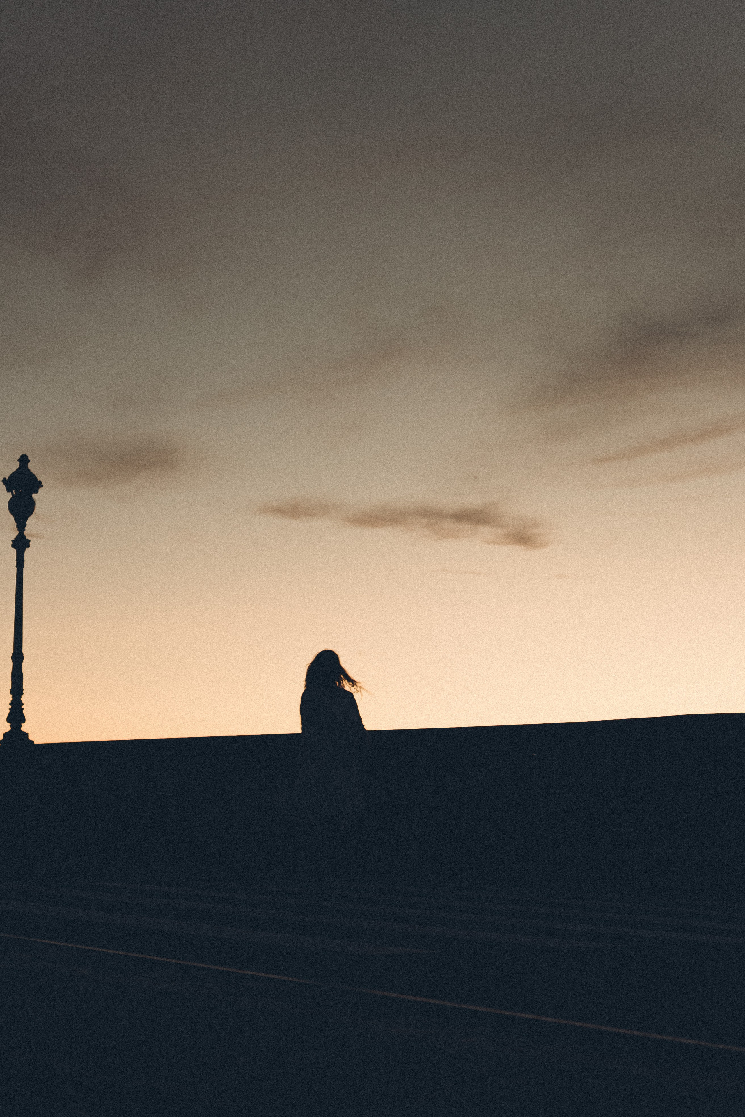 РАССВЕТ С РАЗВОДНЫМИ МОСТАМИ. Профессиональный фотограф, Санкт-Петербург — Виктория Богомолова