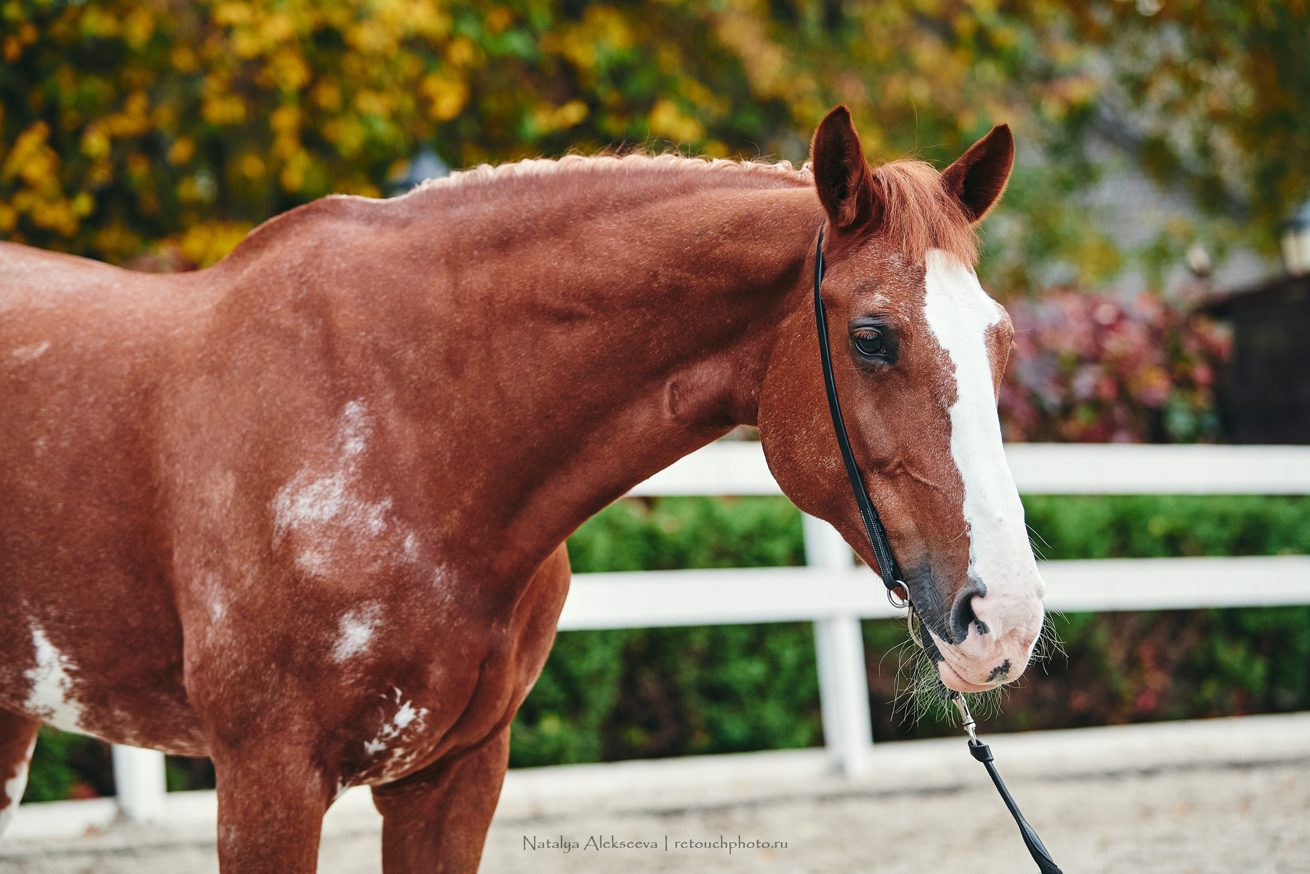Раиса и Анкета, БМКК Прадар. Репортажный фотограф и ретушер в Москве Наталья Алексеева