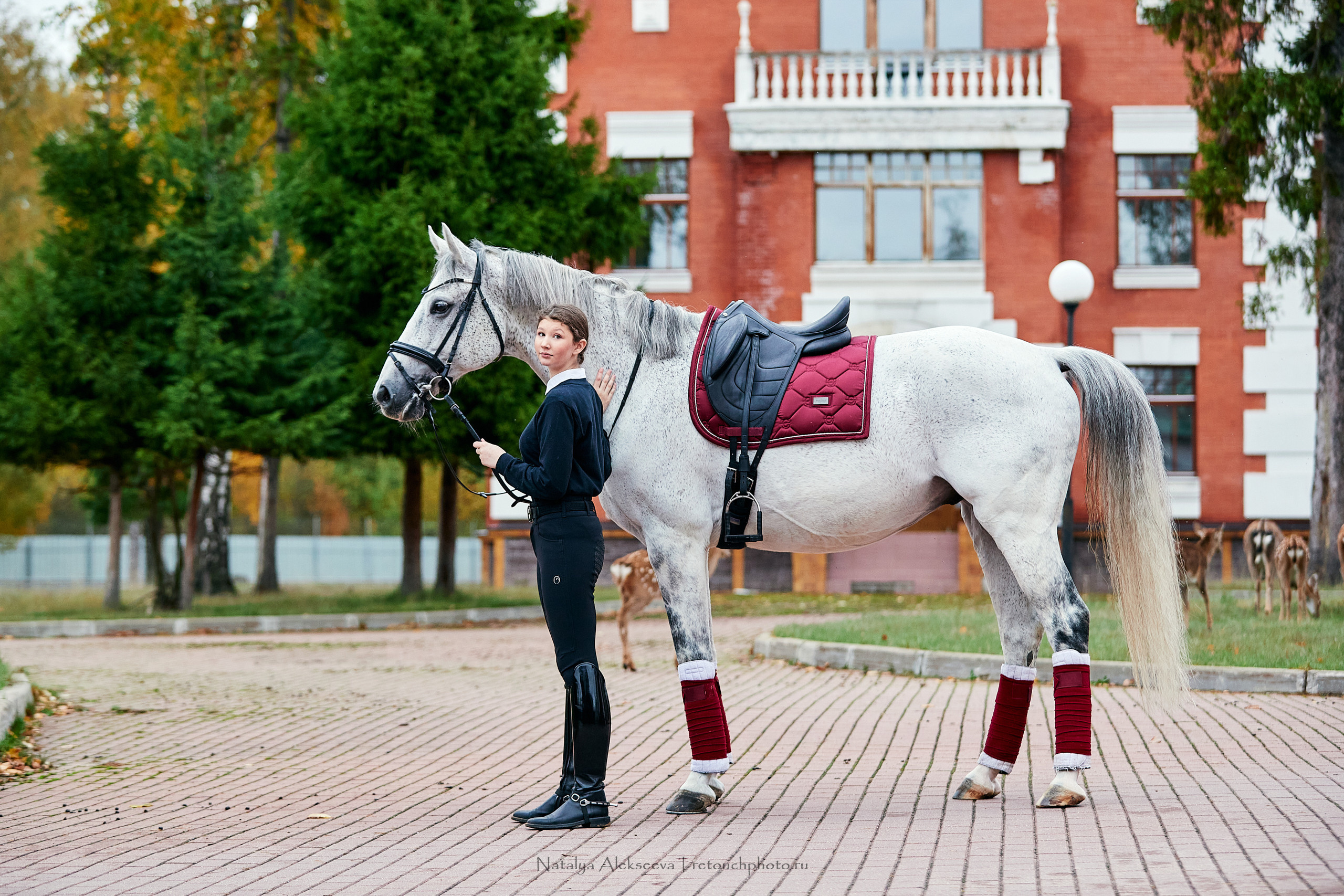 Клавдия и Лимбо, КСК Молодежный. Репортажный фотограф и ретушер в Москве Наталья Алексеева