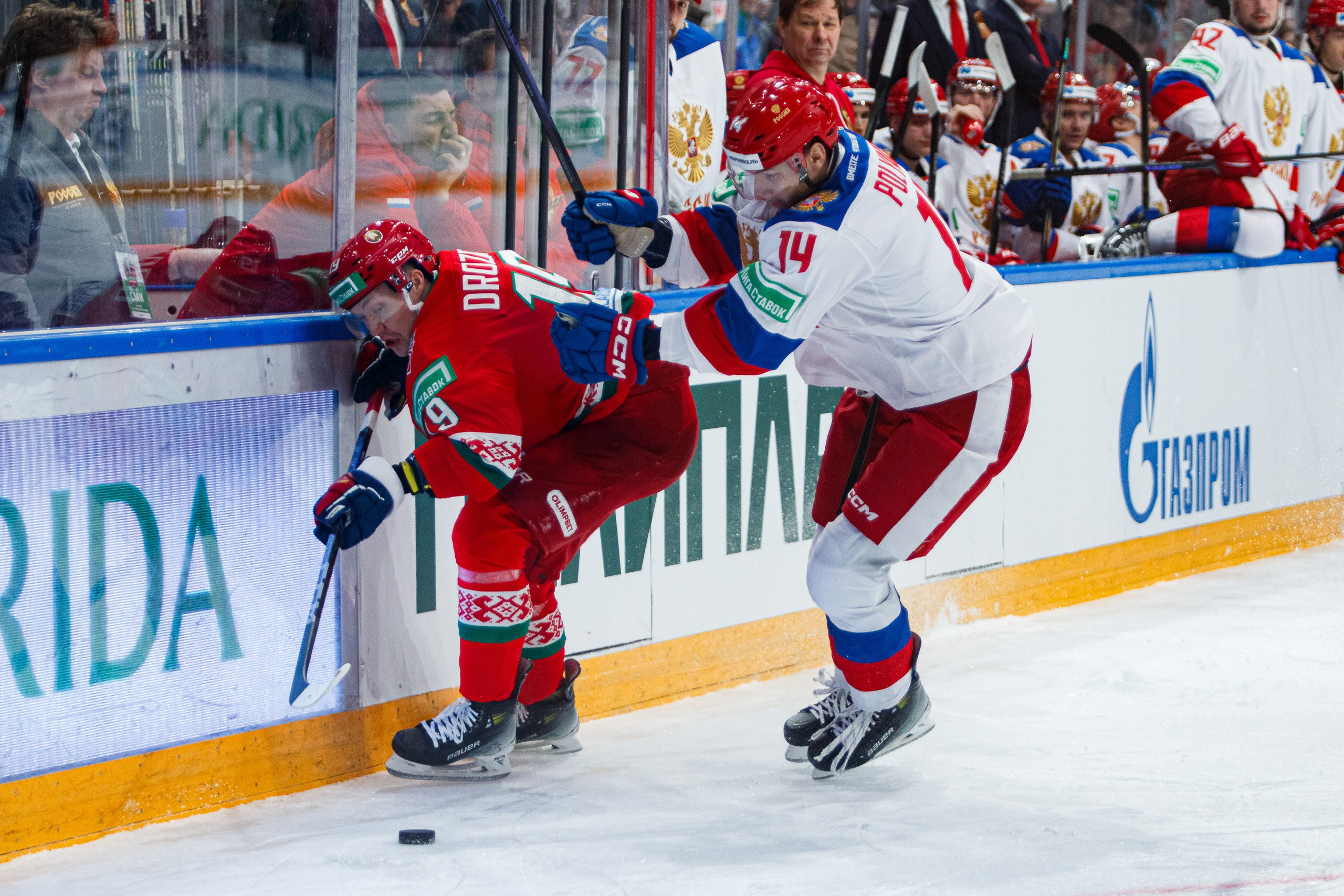 Россия — Беларусь. Спортивный фотограф в Смоленске — Екатерина Степенок