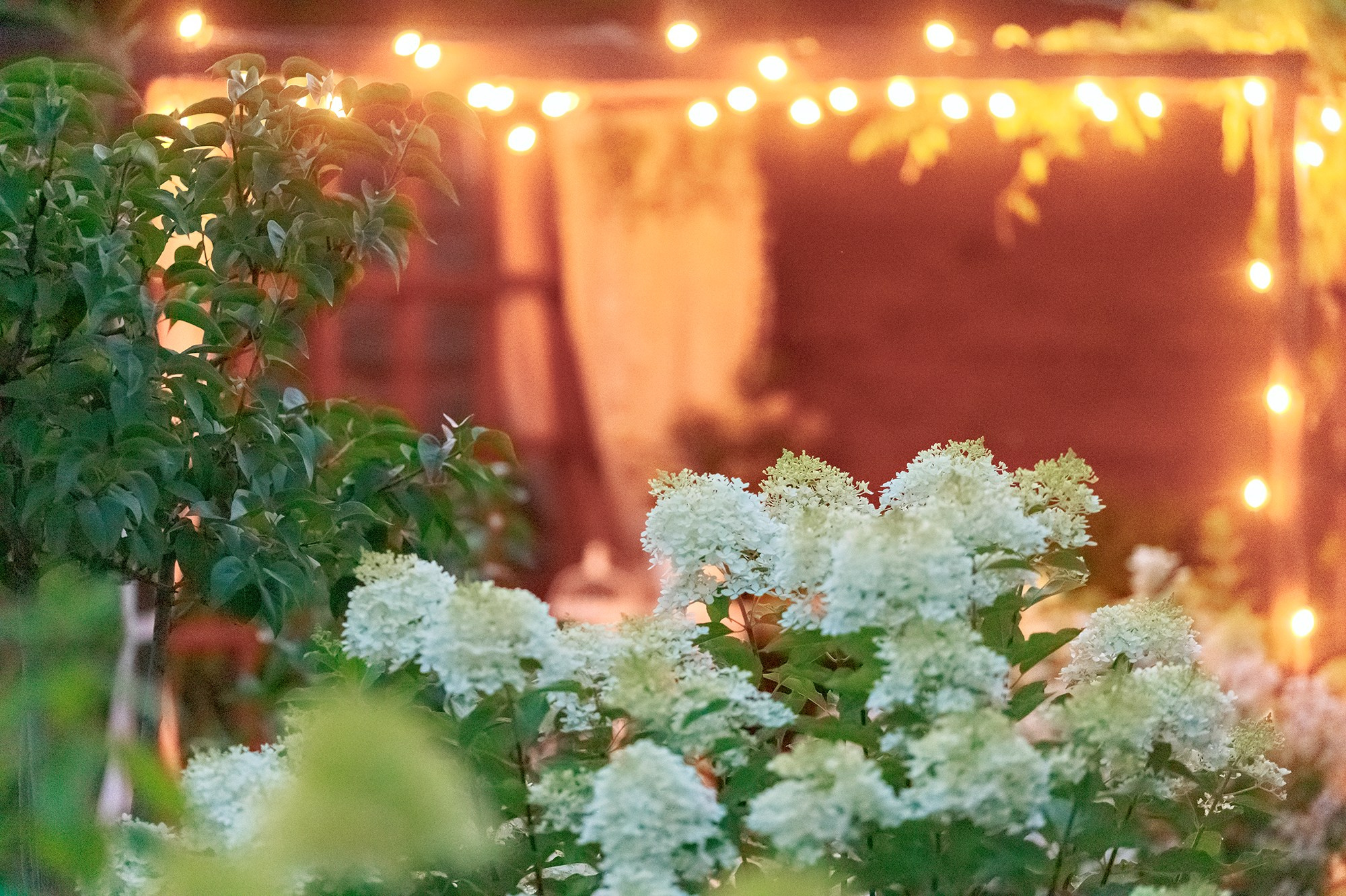 Парк-заповедник Купидон. Семейный фотограф в Димитровграде Елена Патрушева