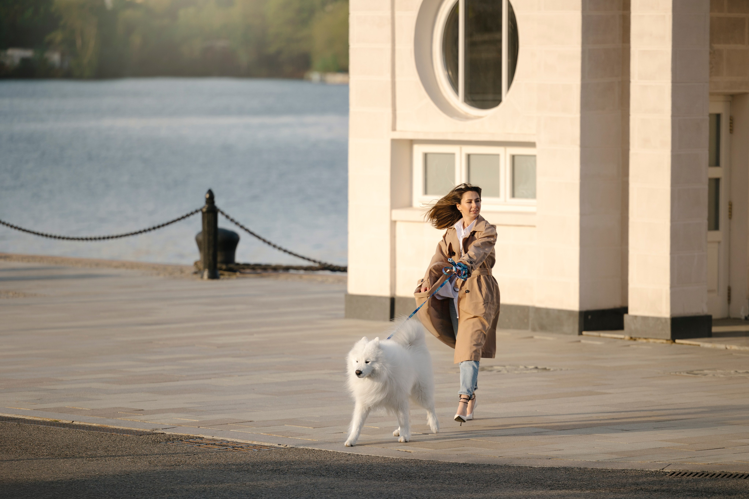 Ната, Панти, Речной Вокзал. Фотограф анималист в Москве Майорова Евгения