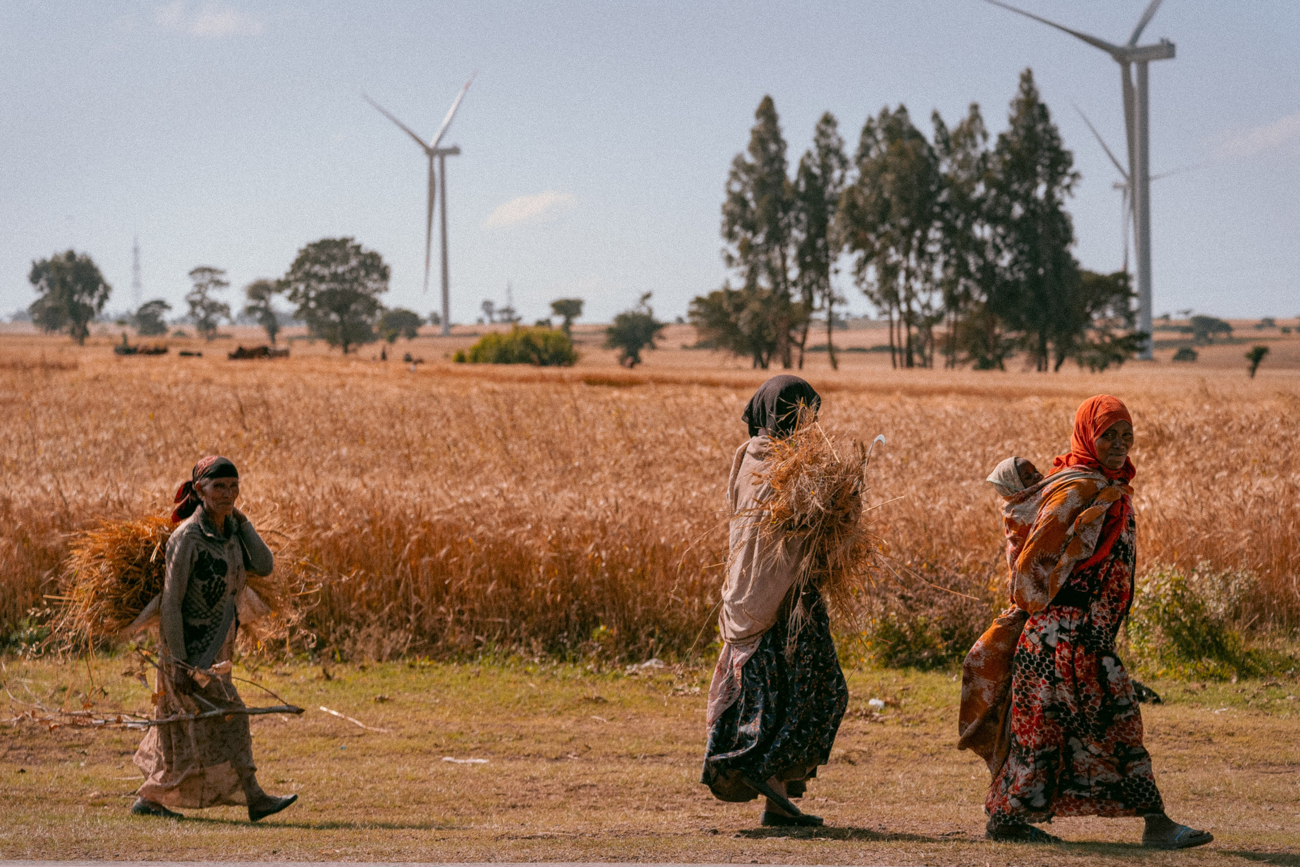 население эфиопии