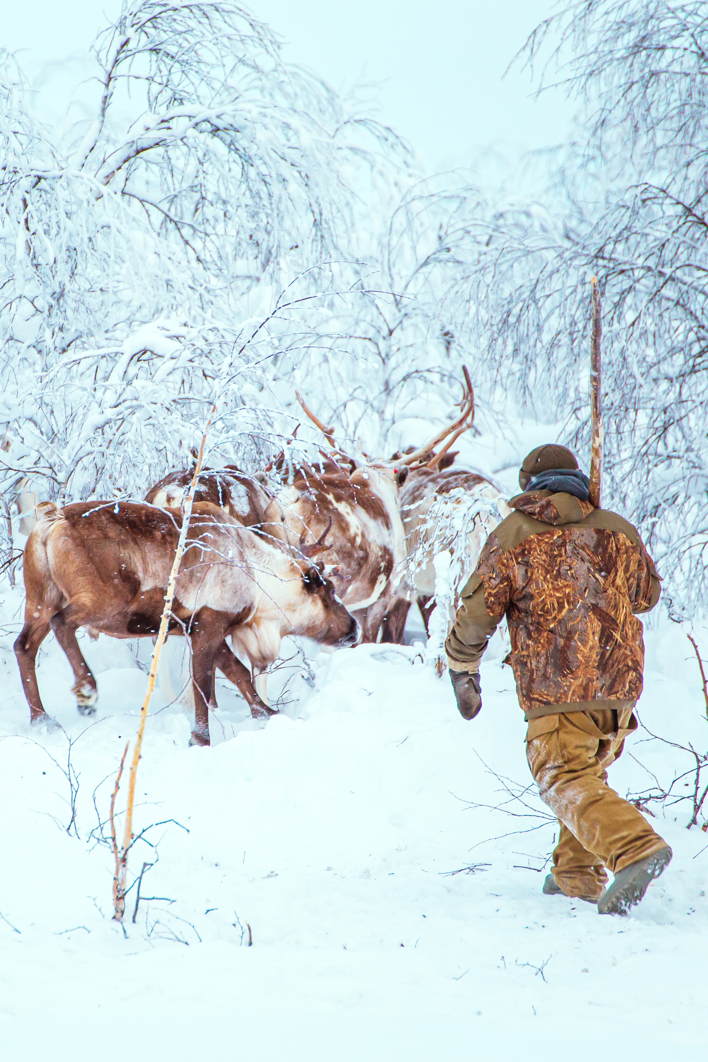 Ненецкий автономный округ. Тревел-фотограф Елизавета Ларионова