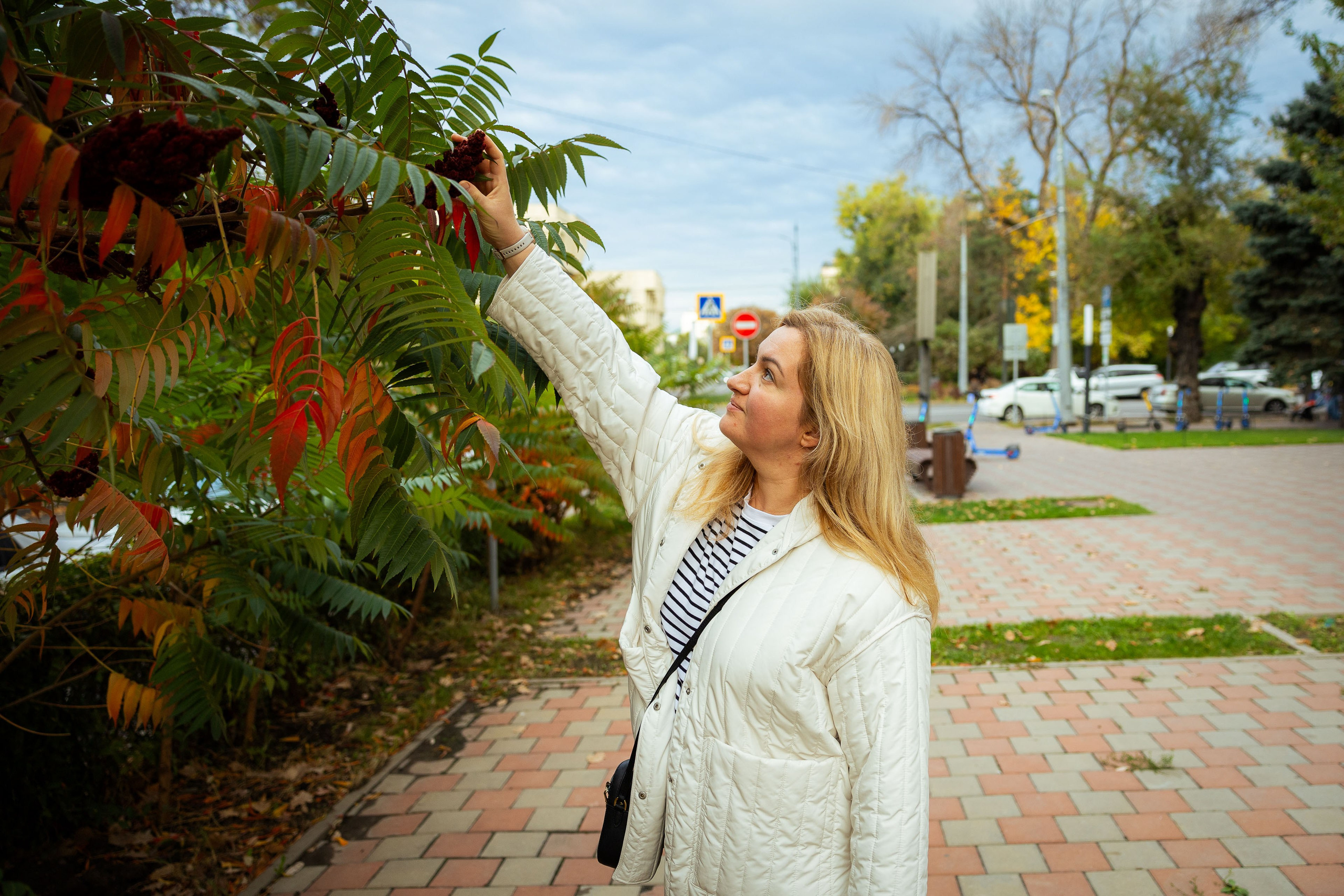 Казахстан (осень 2024). Фотограф Виноградов Константин