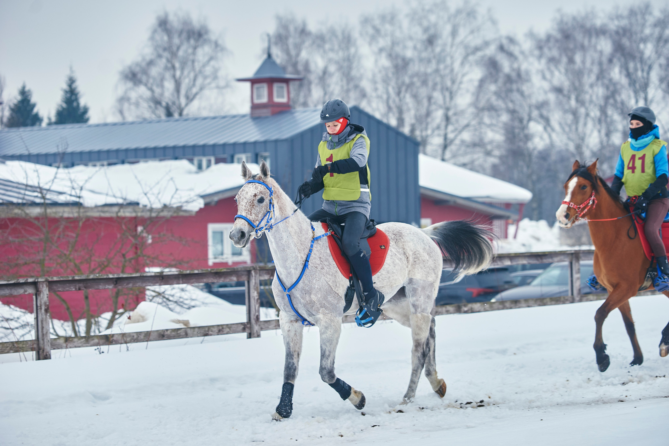 HORSE RACING. Фотограф Наталья Леонова