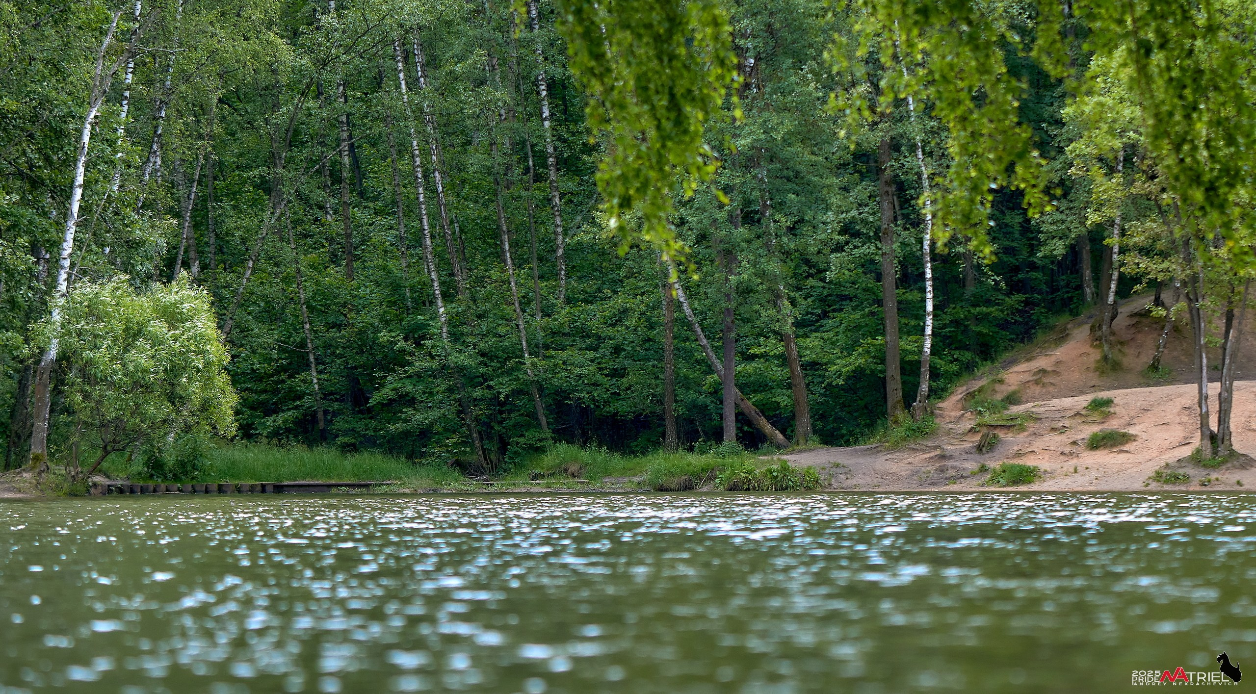 Съемка в парке на воде