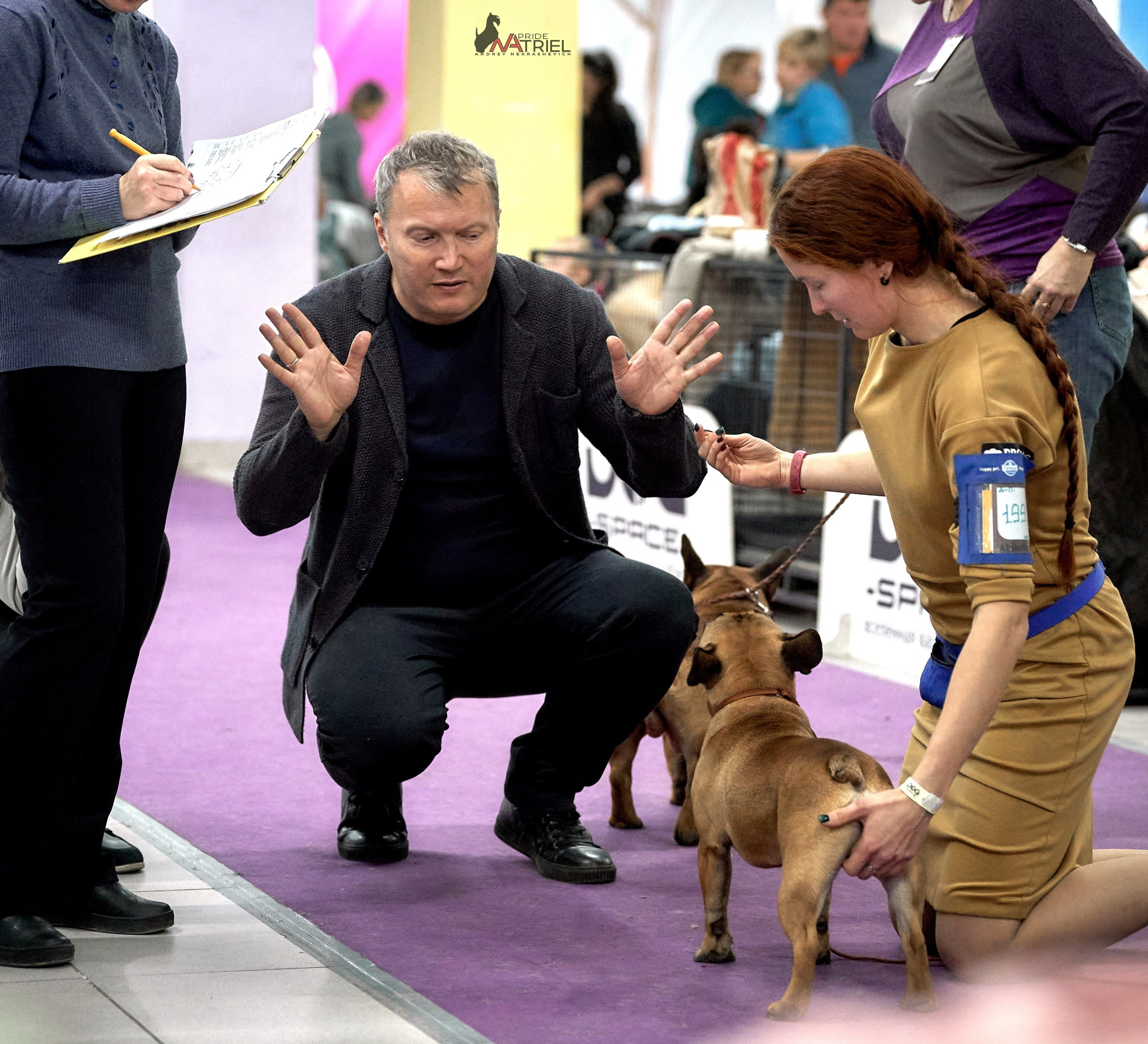 Работа в рингах — галерея NATRIEL