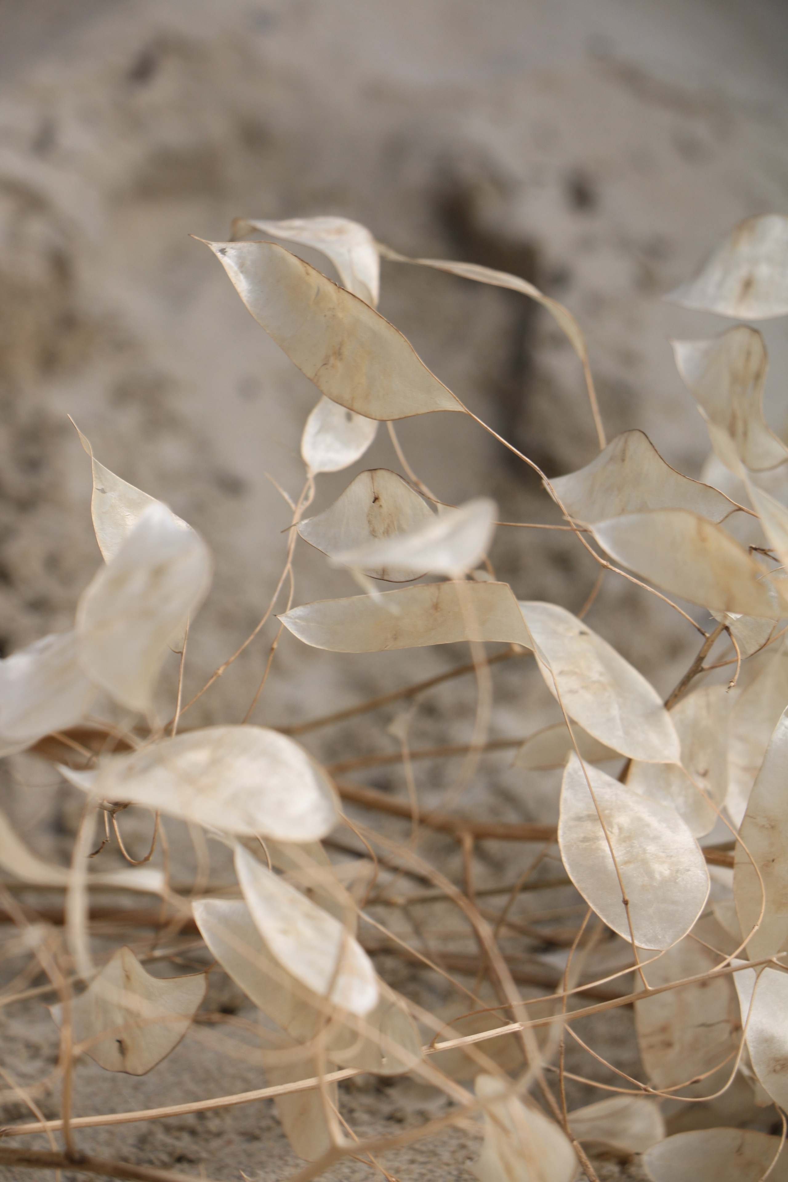 «Малина» rest. Контент-фотограф Калининград АНАСТАСИЯ ТКАЧЕВА