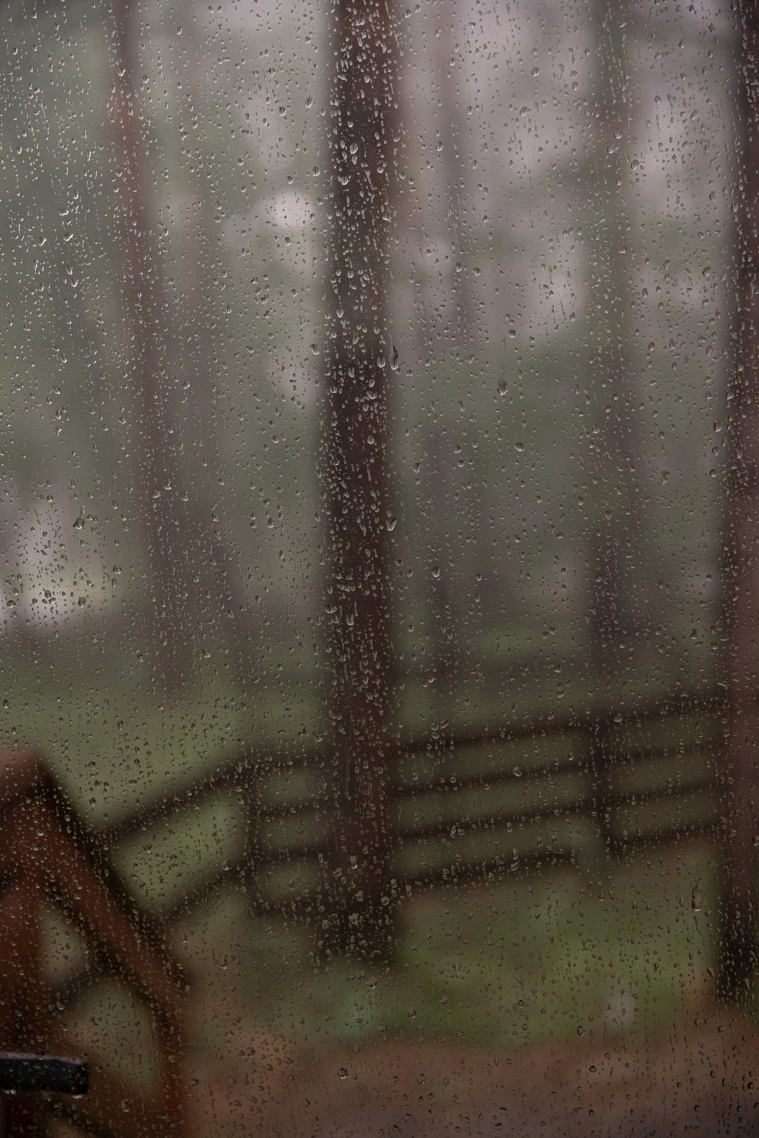 Наташа & Саша 21.07.2023. Свадебный Фотограф Илья Чепайкин. Калининград