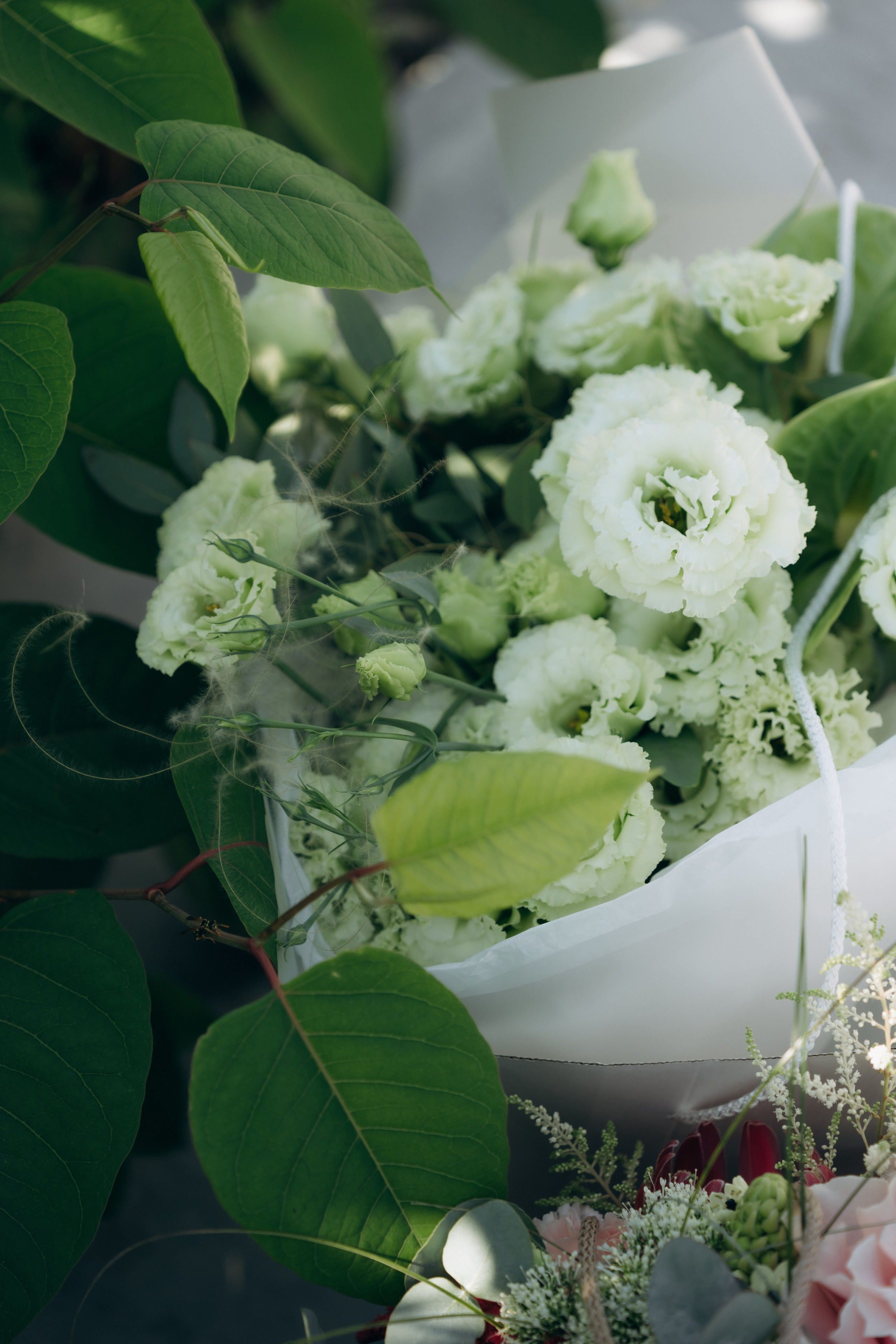 Руслан и Марина. Полный день. Ирина Гонтарева|Фотограф|Белгород