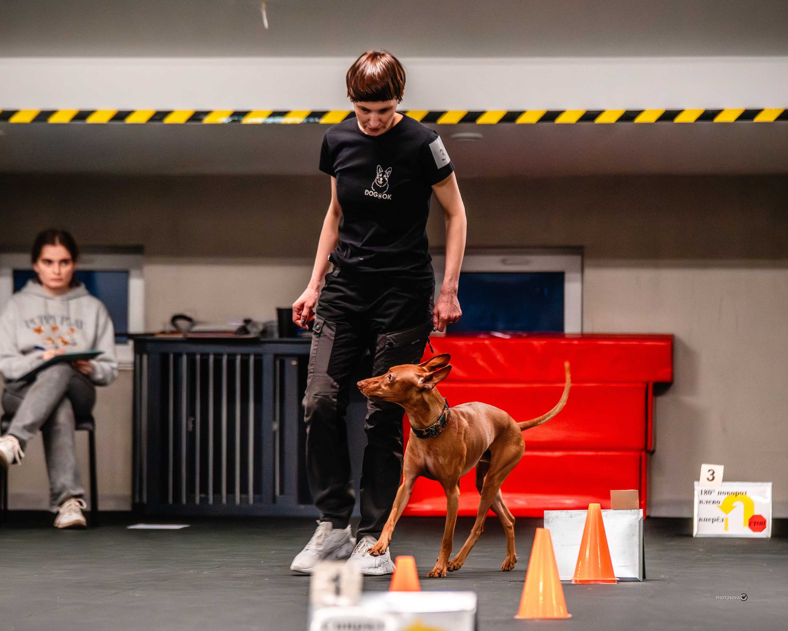 ТЫ И Я (соревнования по ралли-обидиенс). Фотограф-анималист, семейный фотограф в Москве и Подмосковье. Фотосъёмка кинологических дисциплин